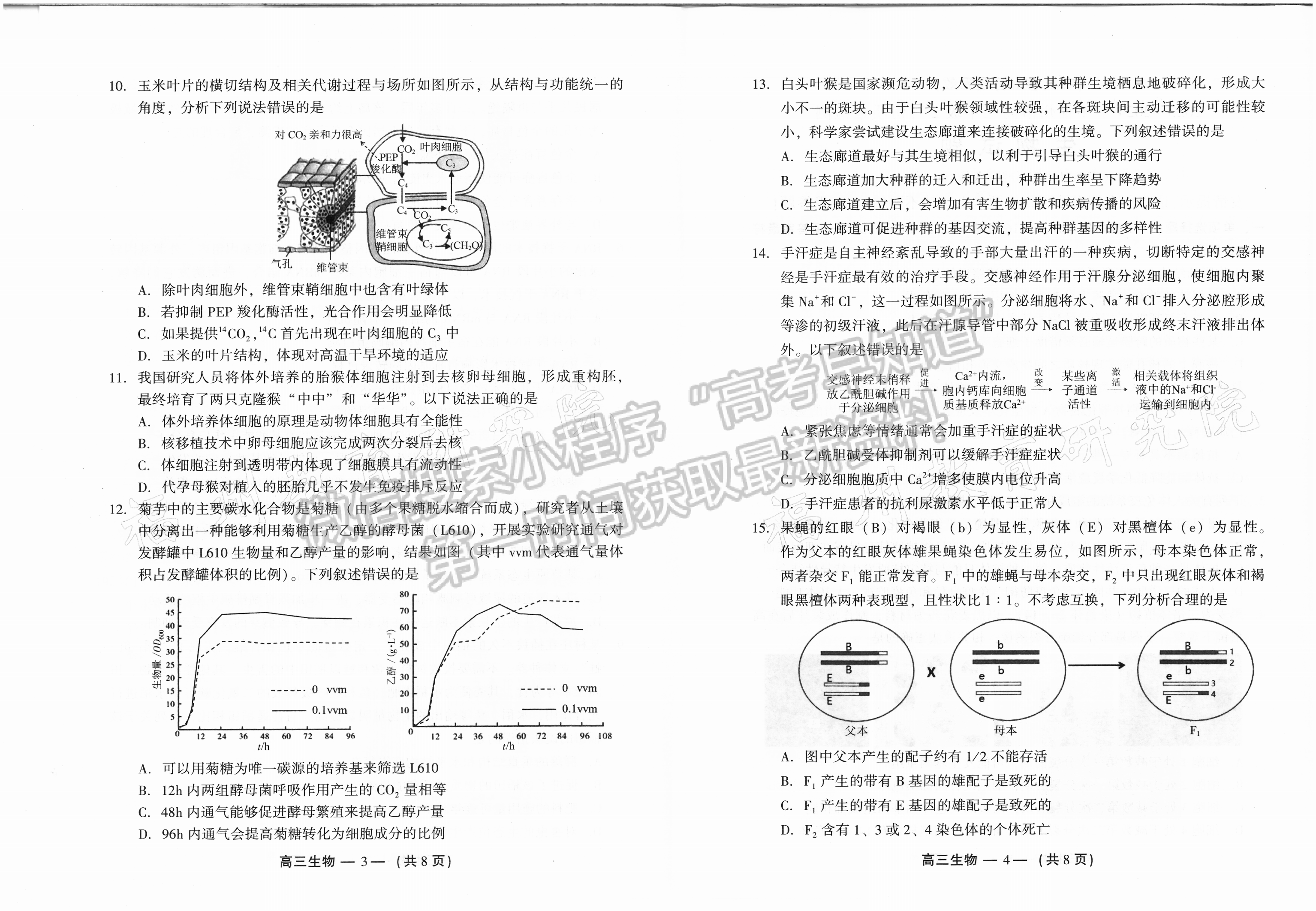 2024福州二檢生物試卷及參考答案