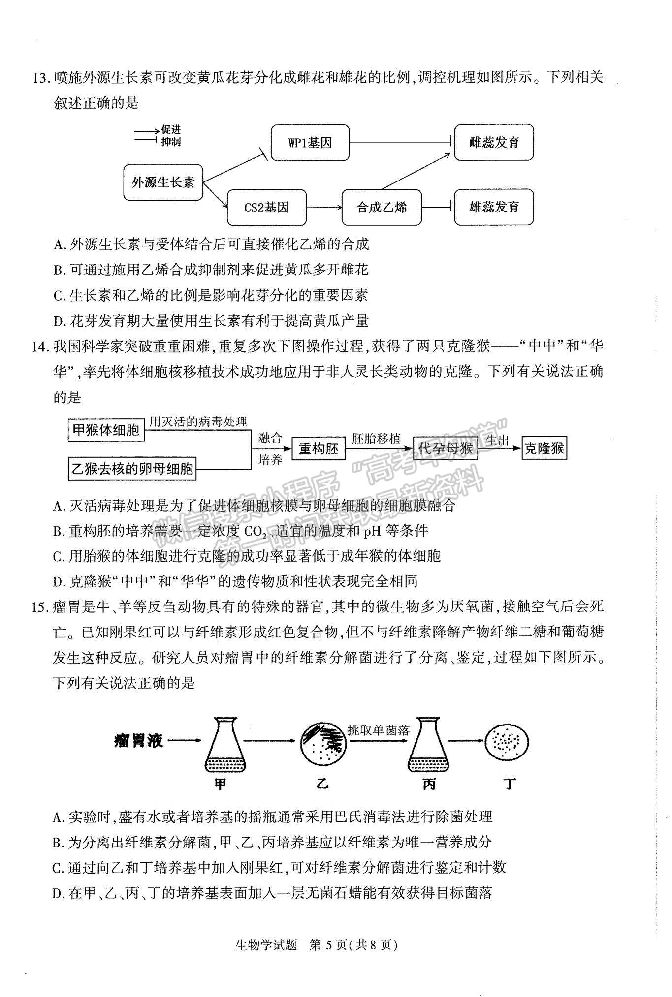 2024屆安徽省合肥市高三一模生物試卷及參考答案