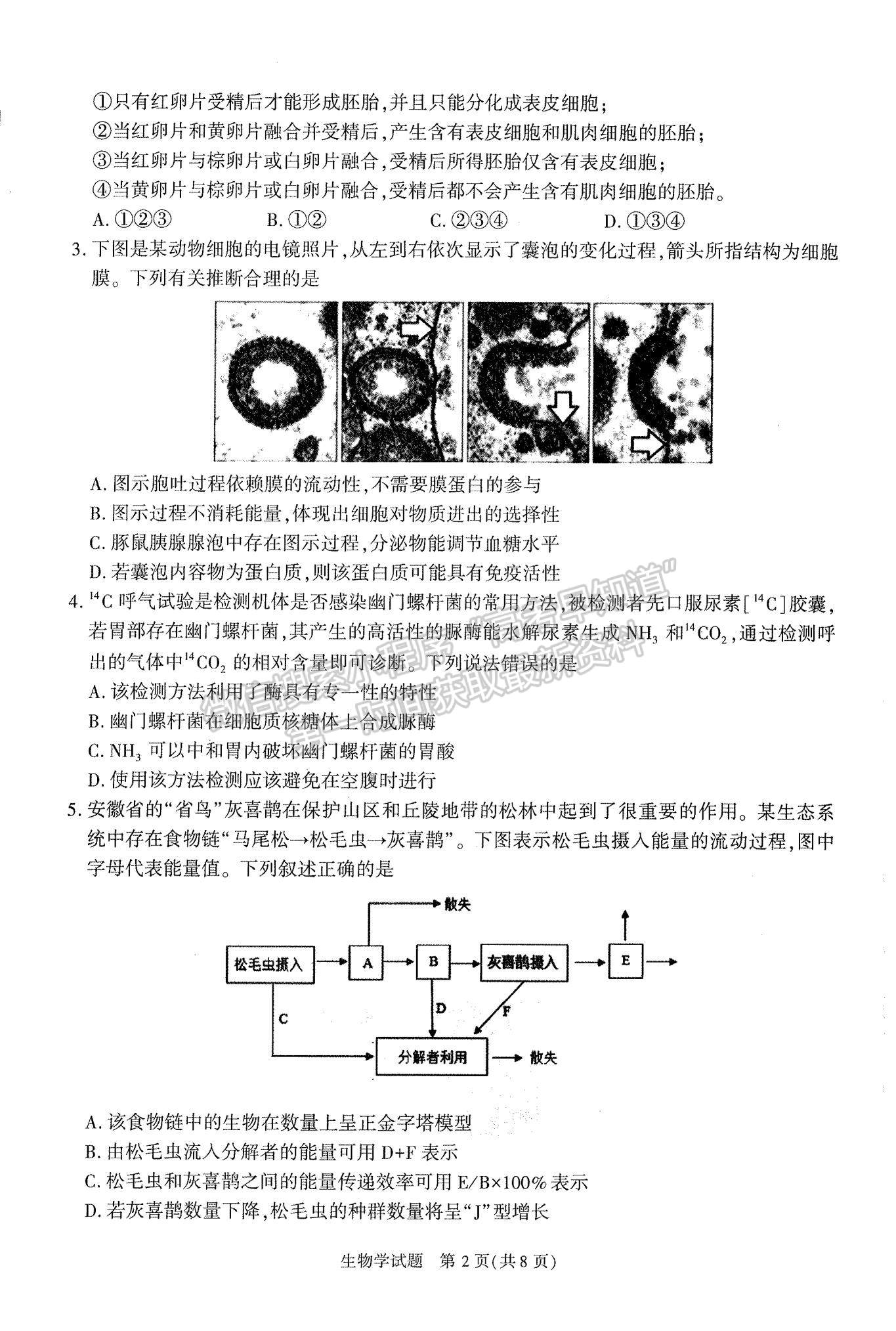 2024屆安徽省合肥市高三一模生物試卷及參考答案