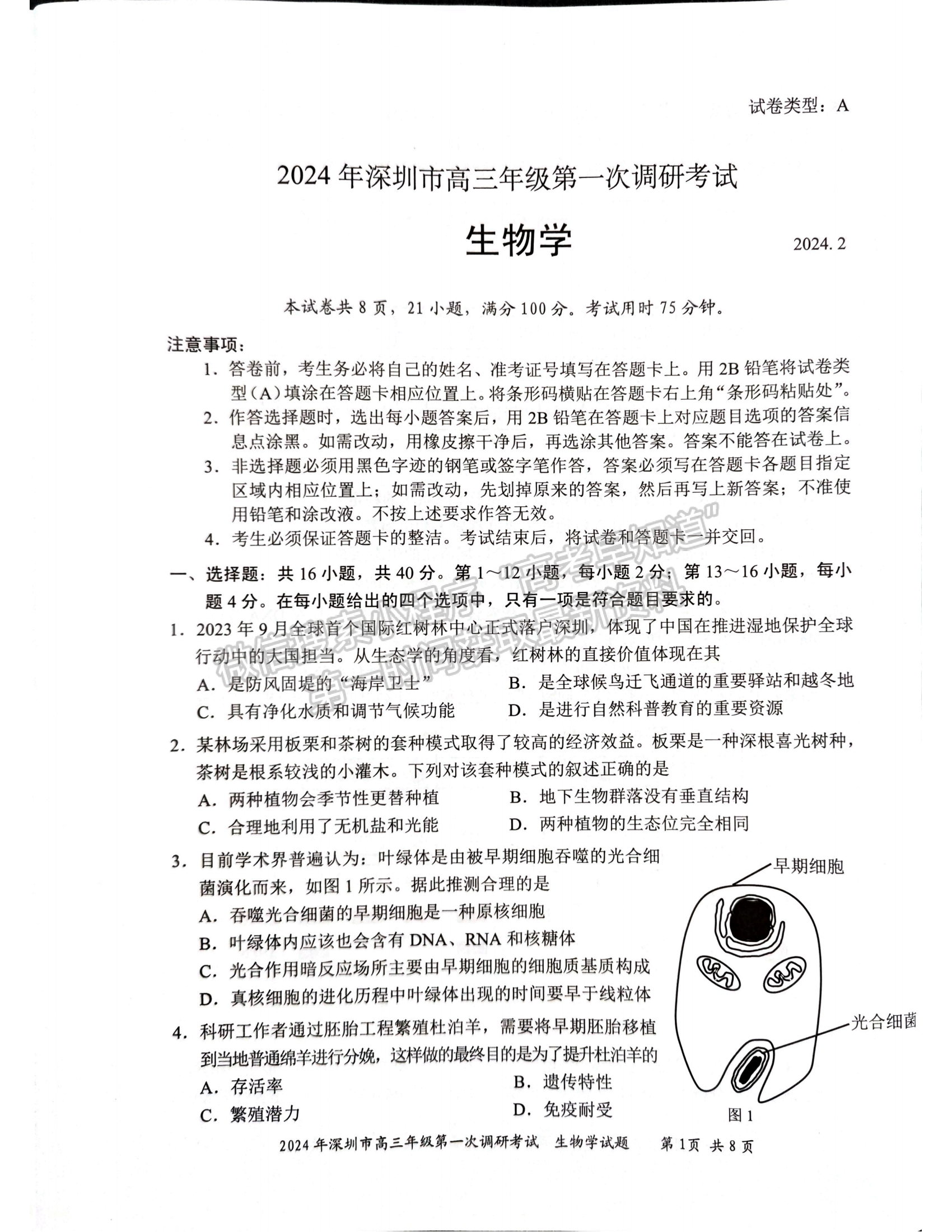 2024届广东省深圳市高三一模生物试题及答案