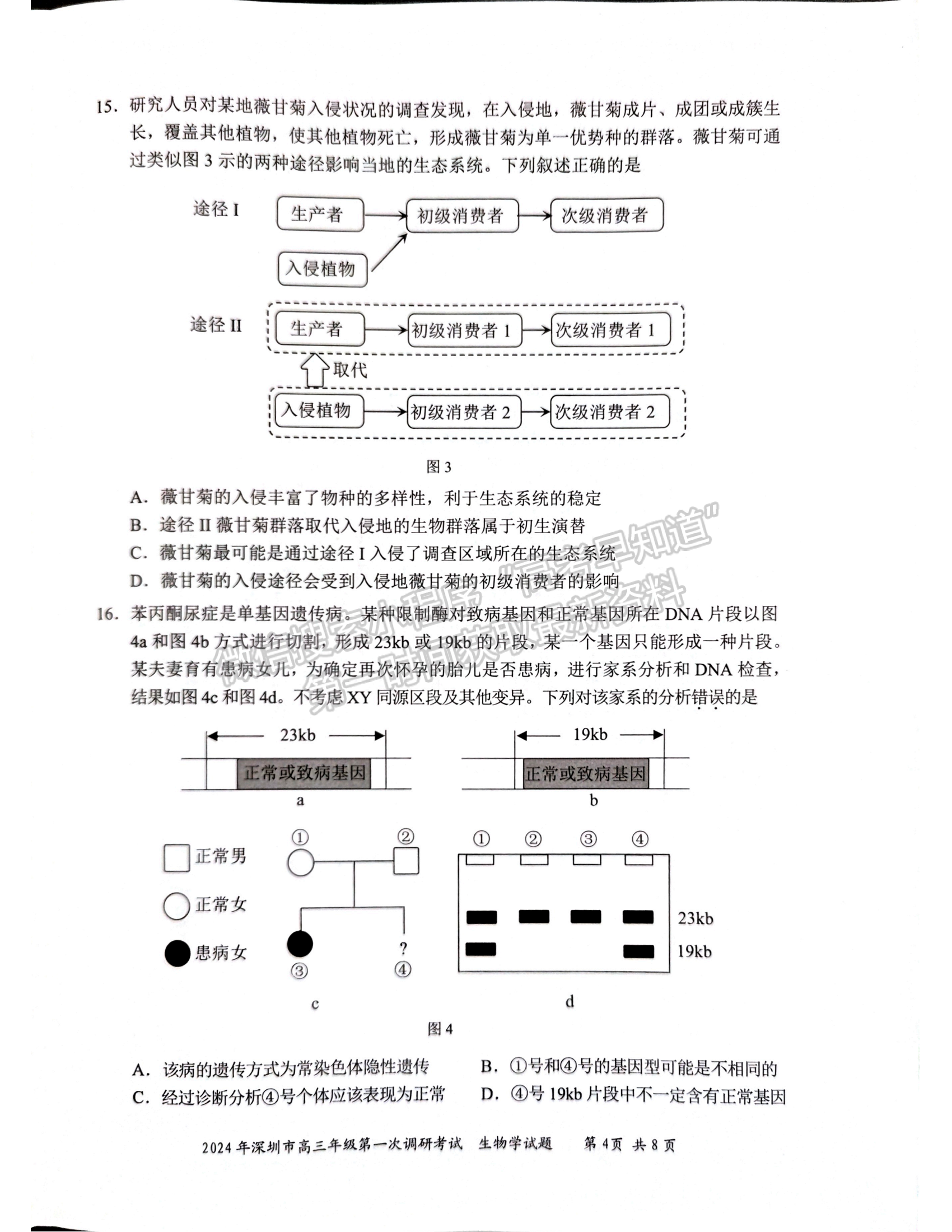 2024届广东省深圳市高三一模生物试题及答案