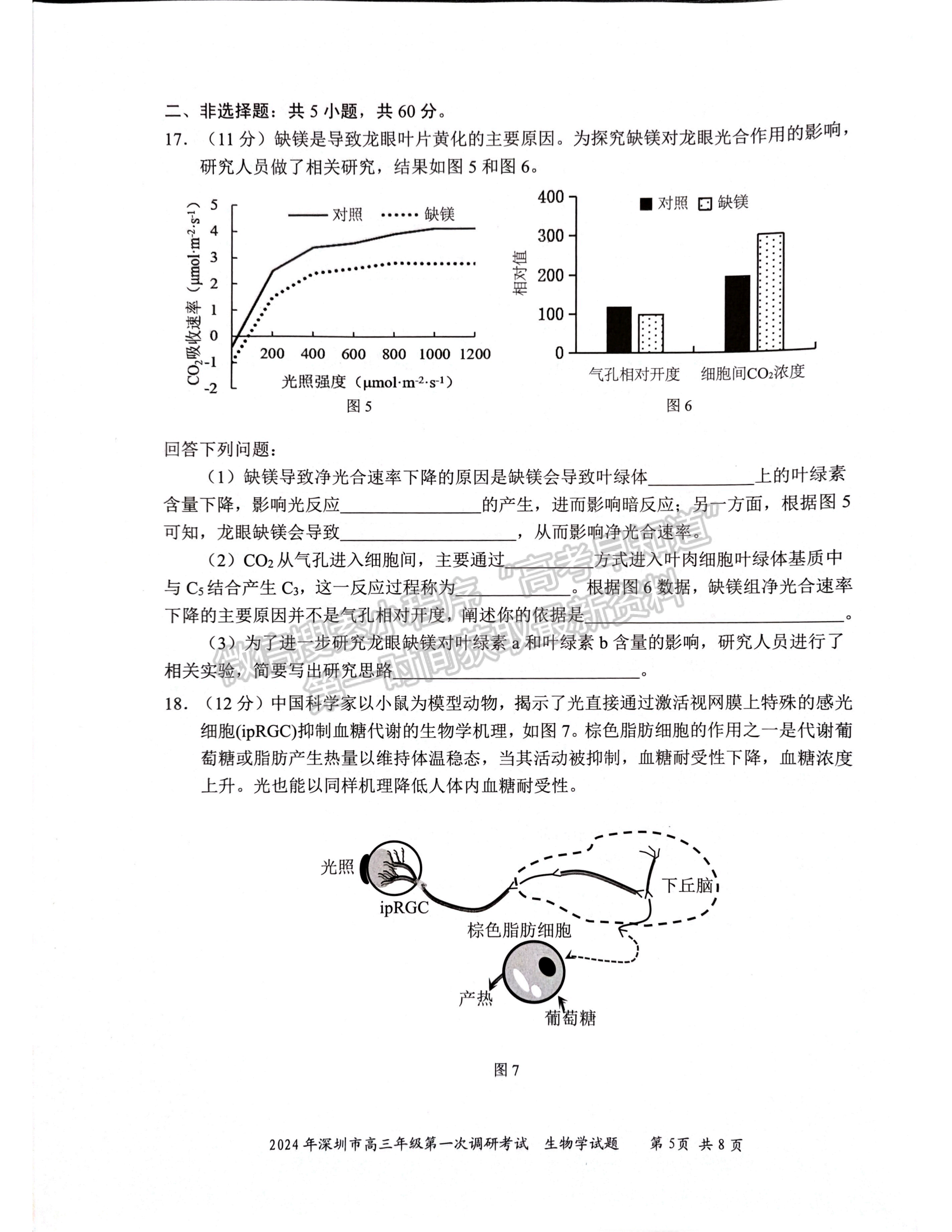 2024届广东省深圳市高三一模生物试题及答案