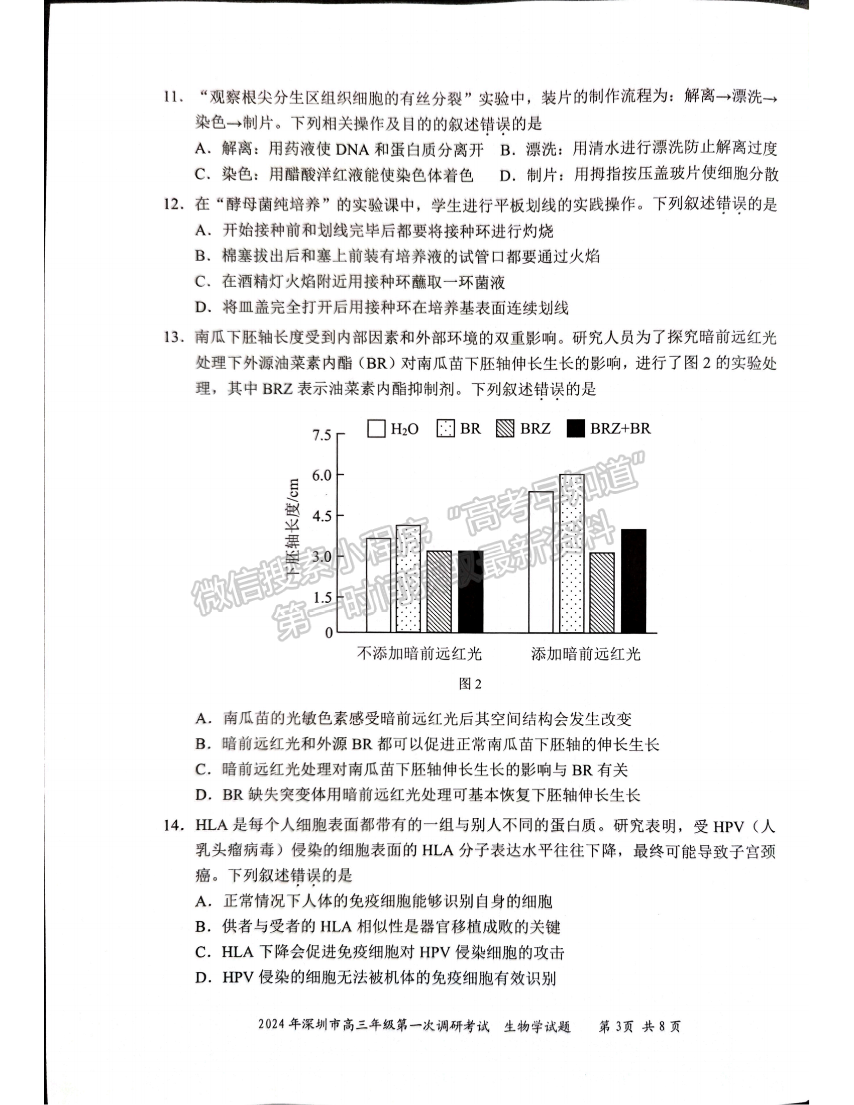 2024届广东省深圳市高三一模生物试题及答案