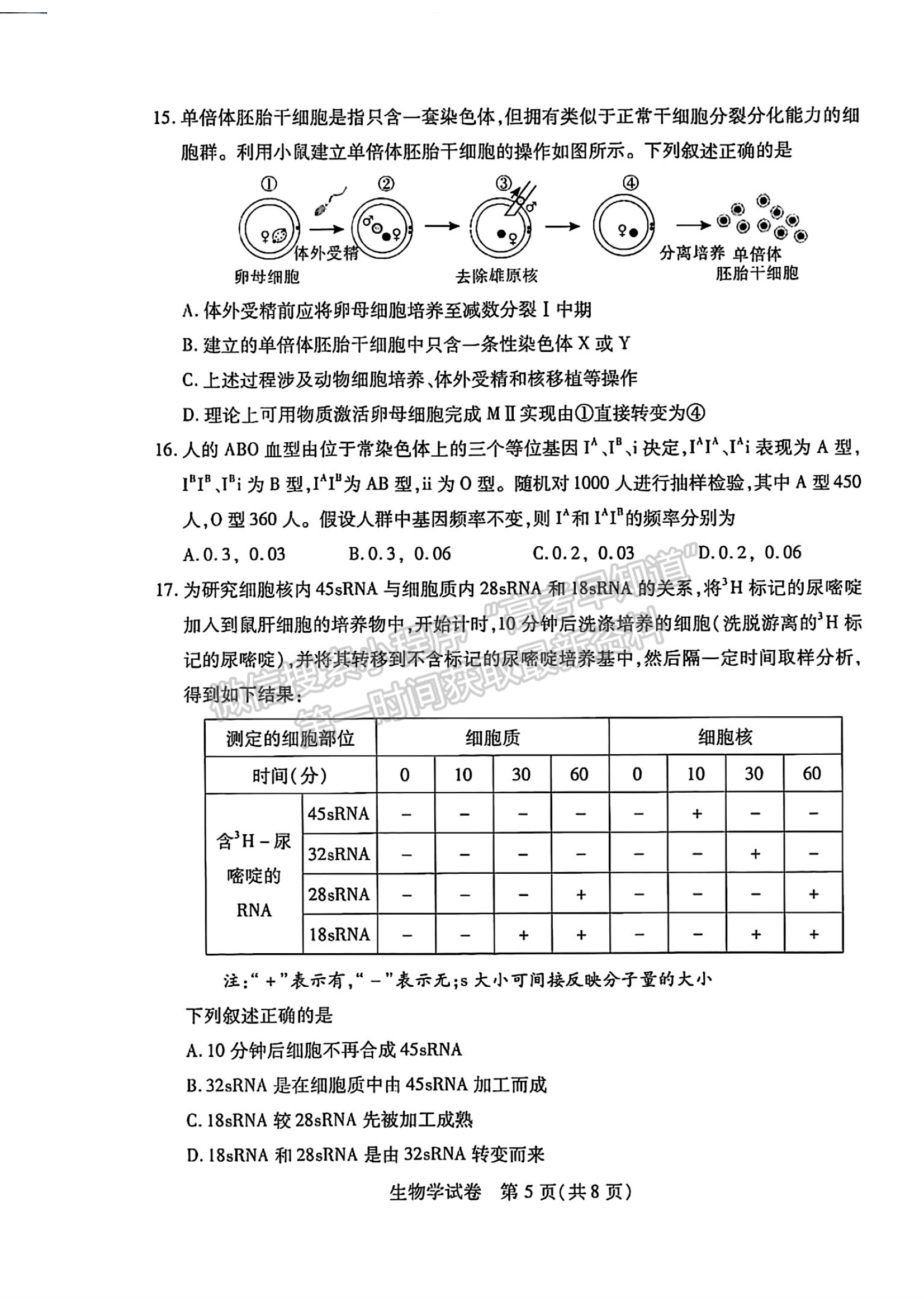 2024届湖北省武汉市高三2月调研生物试题及答案