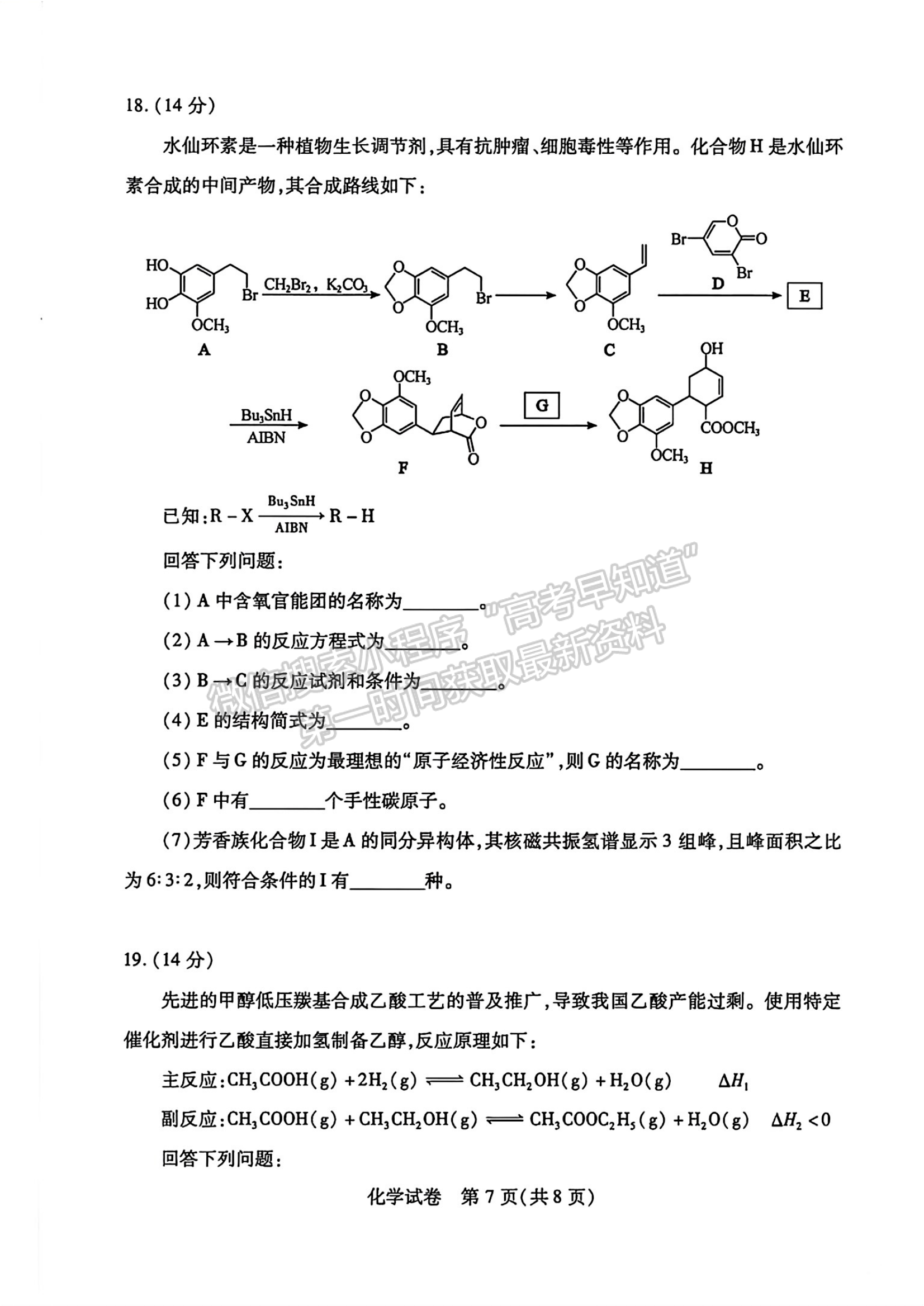 2024届湖北省武汉市高三2月调研化学试题及答案