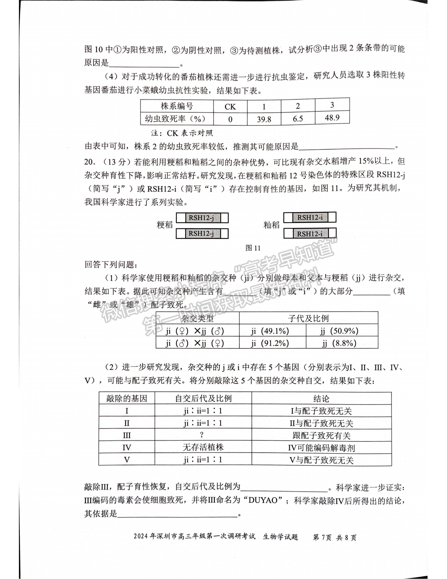 2024届广东省深圳市高三一模生物试题及答案