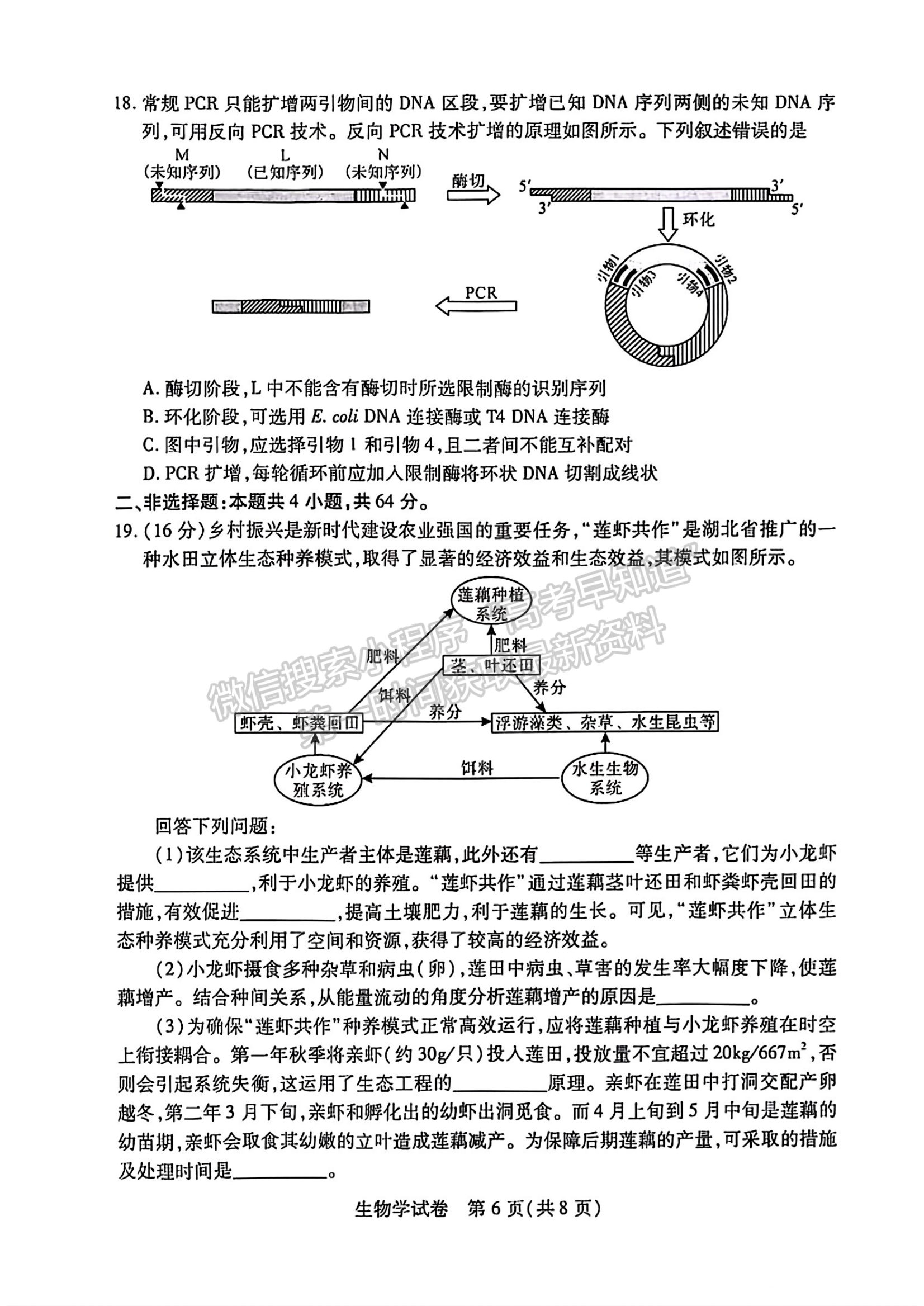 2024届湖北省武汉市高三2月调研生物试题及答案