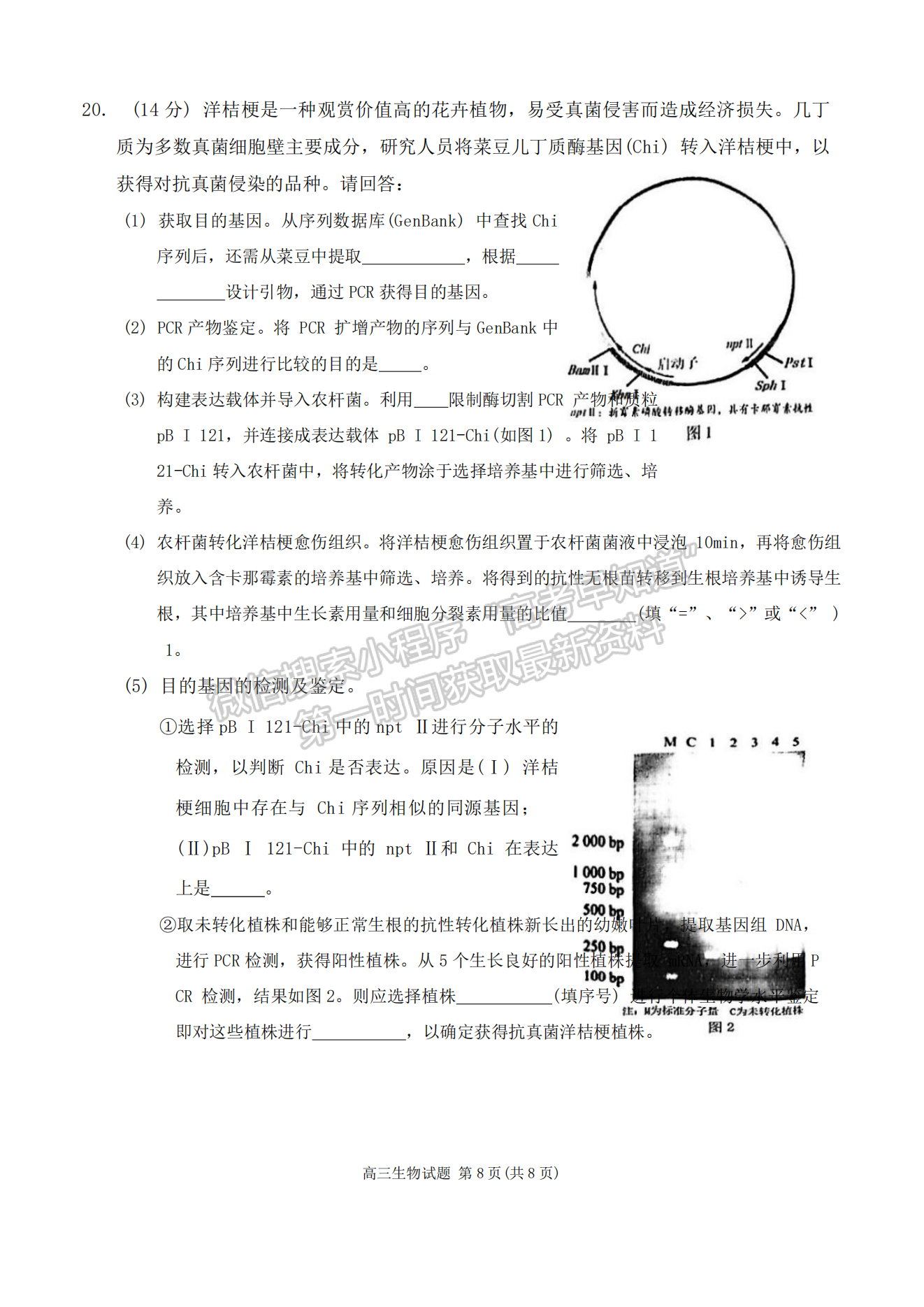 2024泉州三檢&三明一檢生物試卷及參考答案