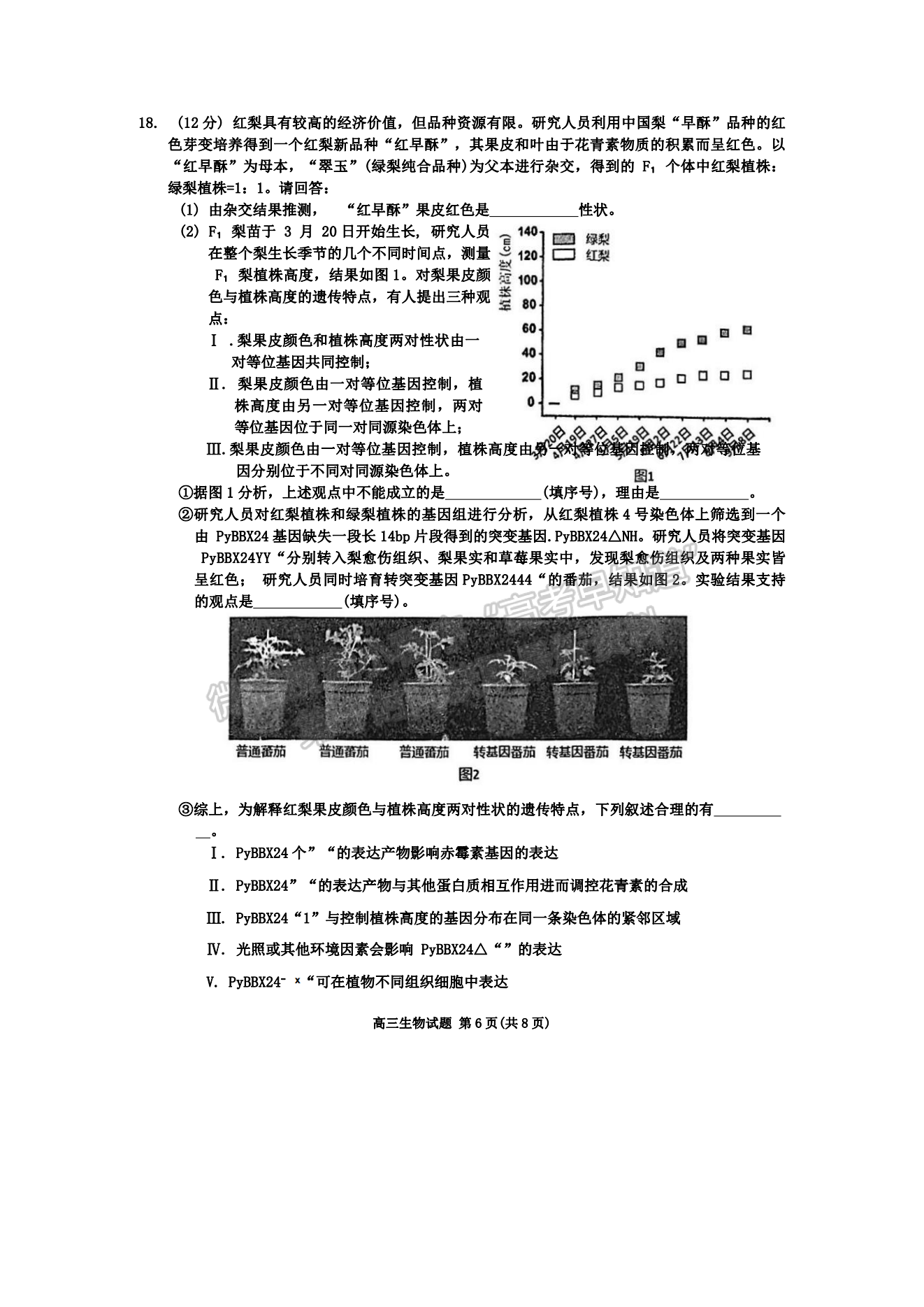 2024泉州三檢&三明一檢生物試卷及參考答案