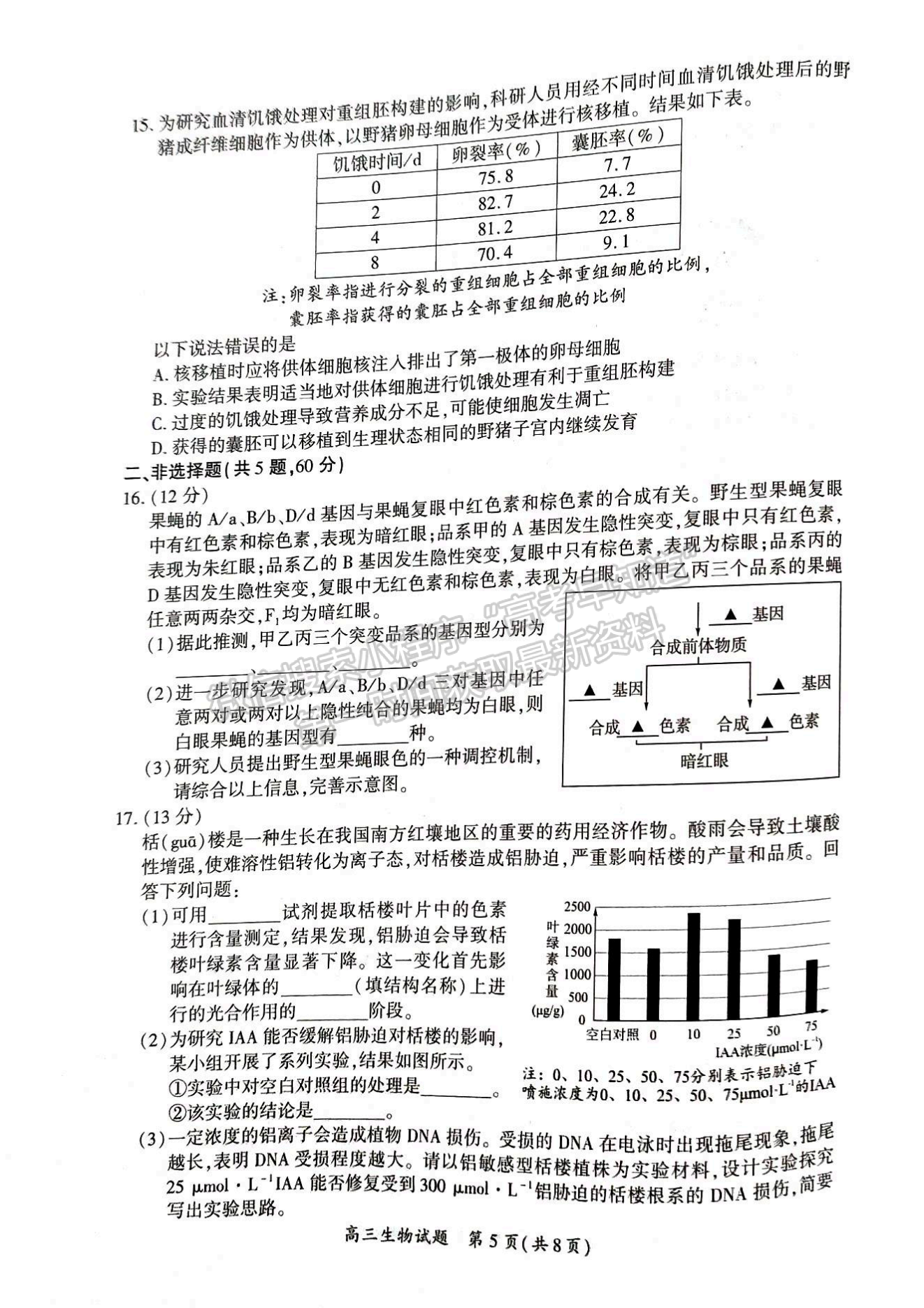 2024廈門(mén)二檢生物試卷及參考答案