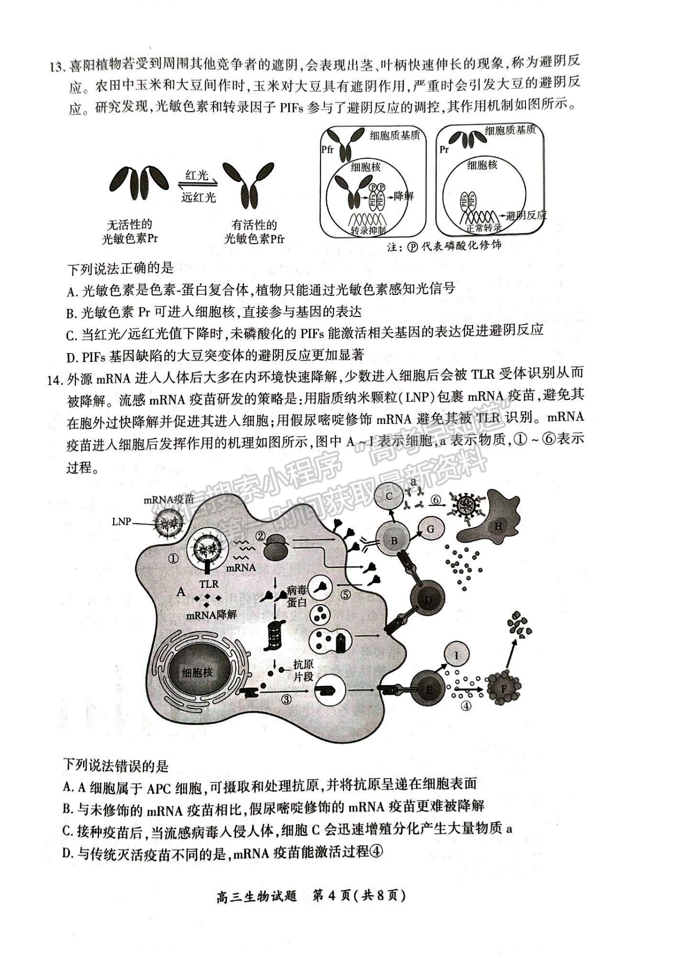 2024廈門二檢生物試卷及參考答案