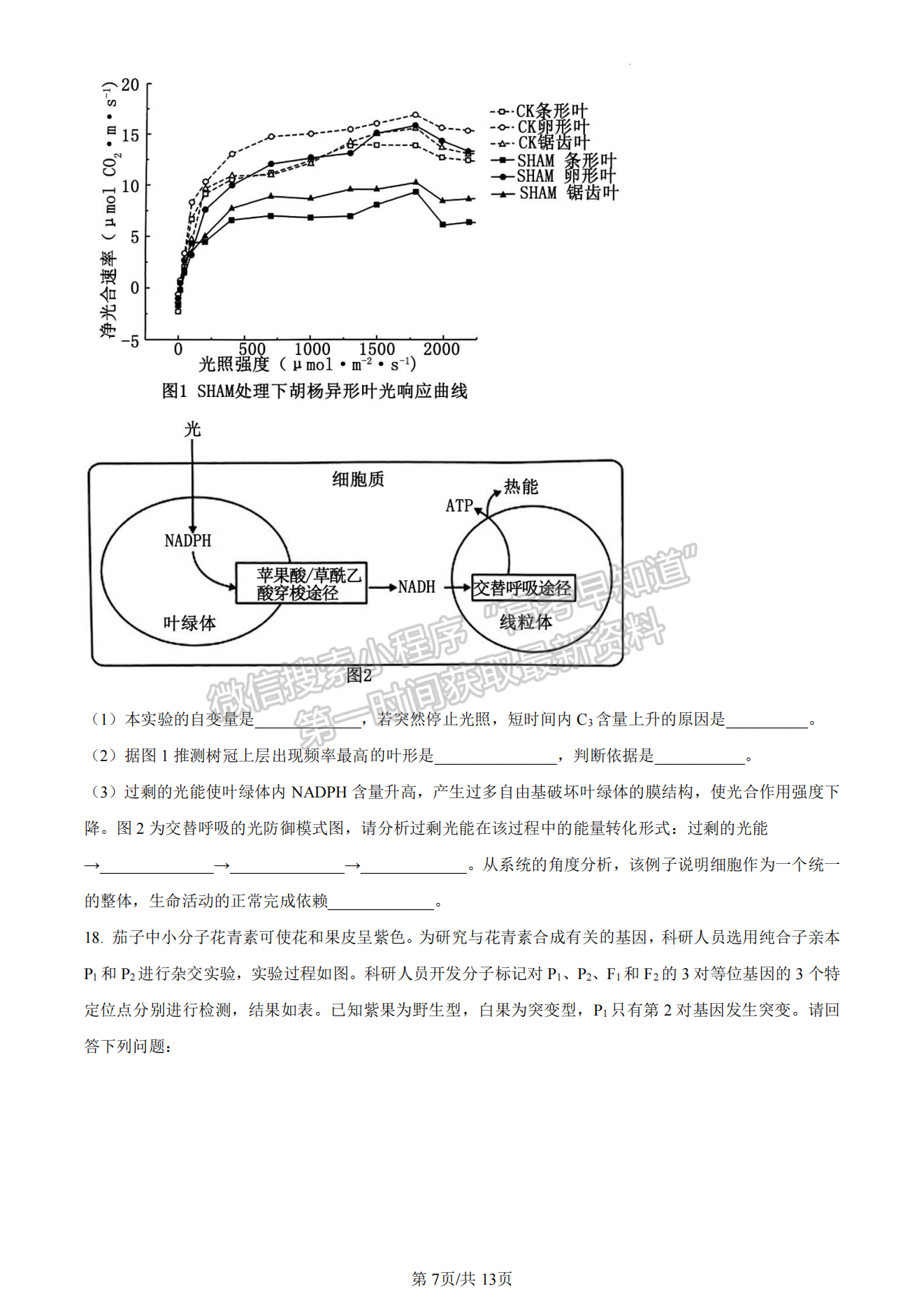 2024莆田二檢生物試卷及參考答案