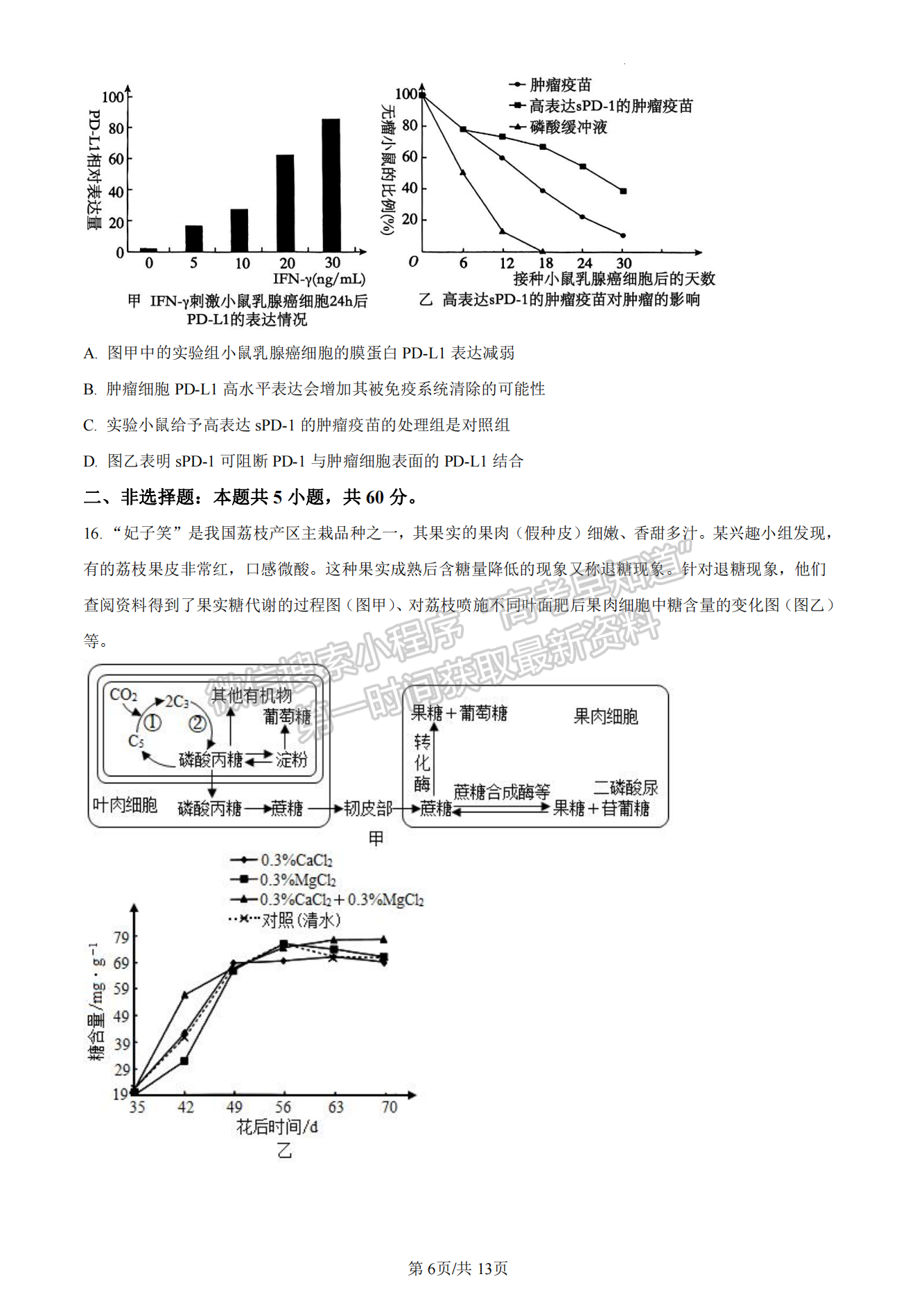 2024漳州三檢生物試卷及參考答案