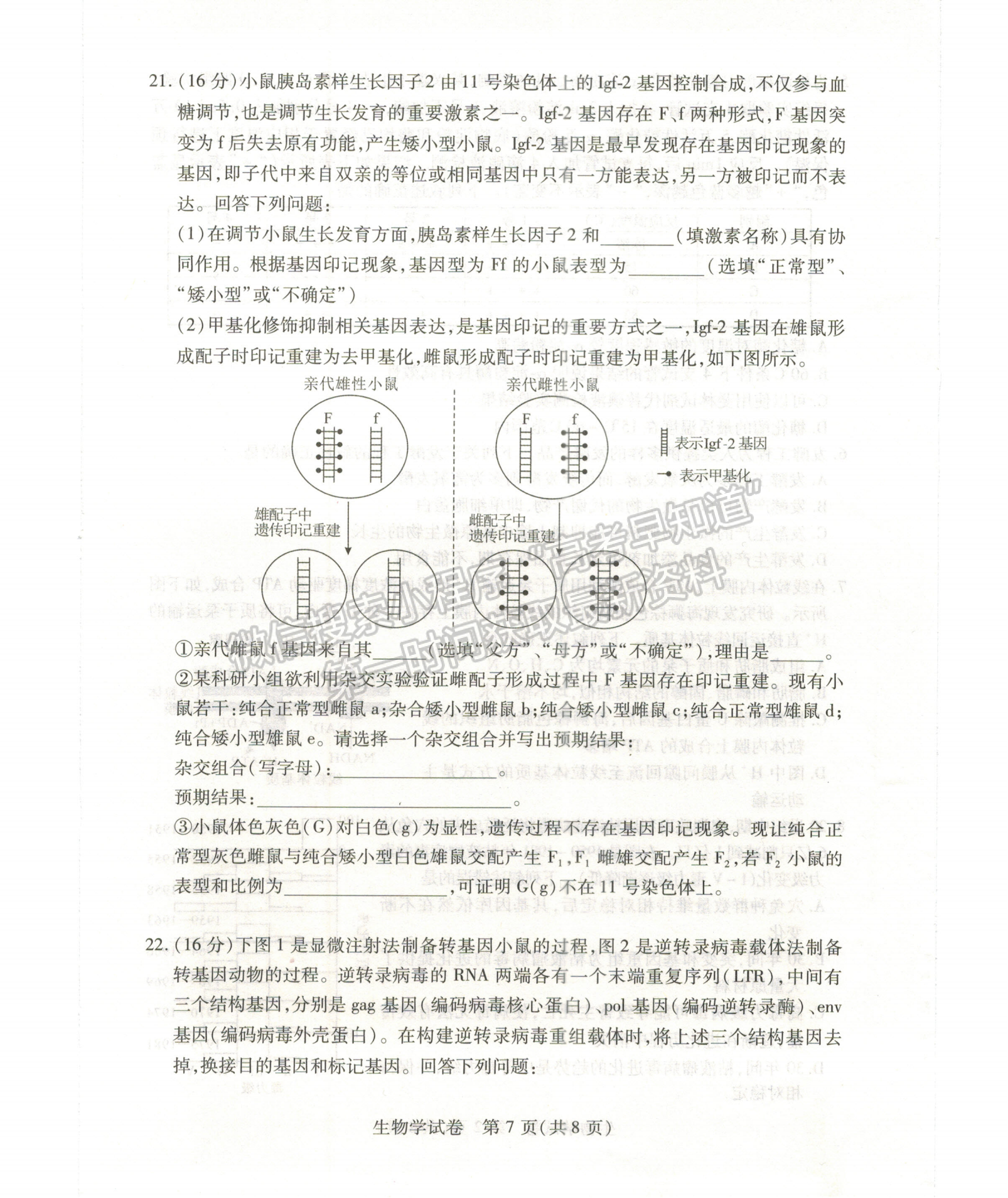 2024屆湖北省七市州高三3月聯(lián)合統(tǒng)一調(diào)研生物試題及答案