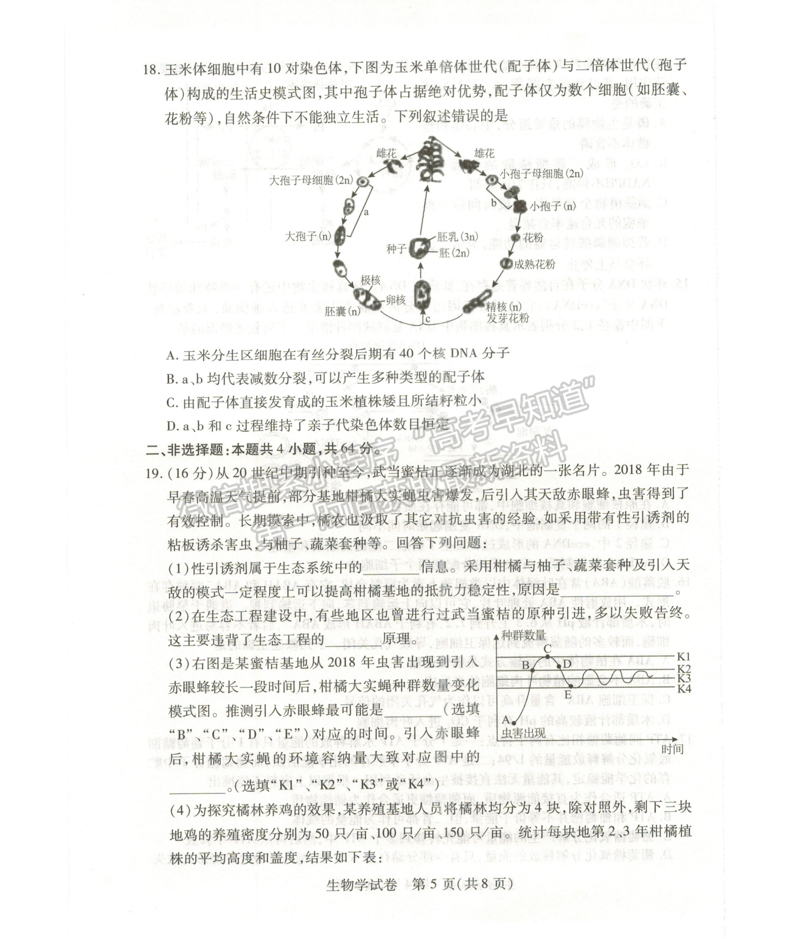 2024屆湖北省七市州高三3月聯(lián)合統(tǒng)一調(diào)研生物試題及答案