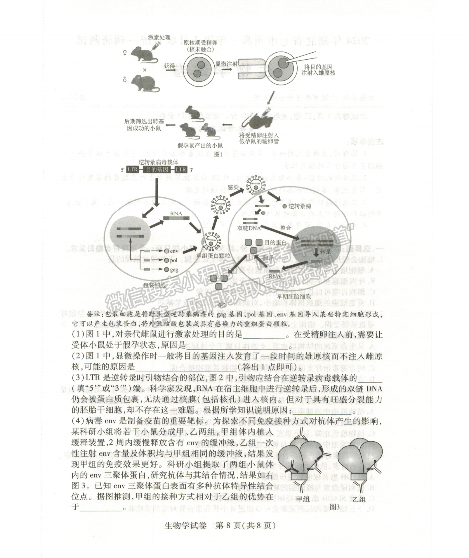 2024屆湖北省七市州高三3月聯(lián)合統(tǒng)一調(diào)研生物試題及答案