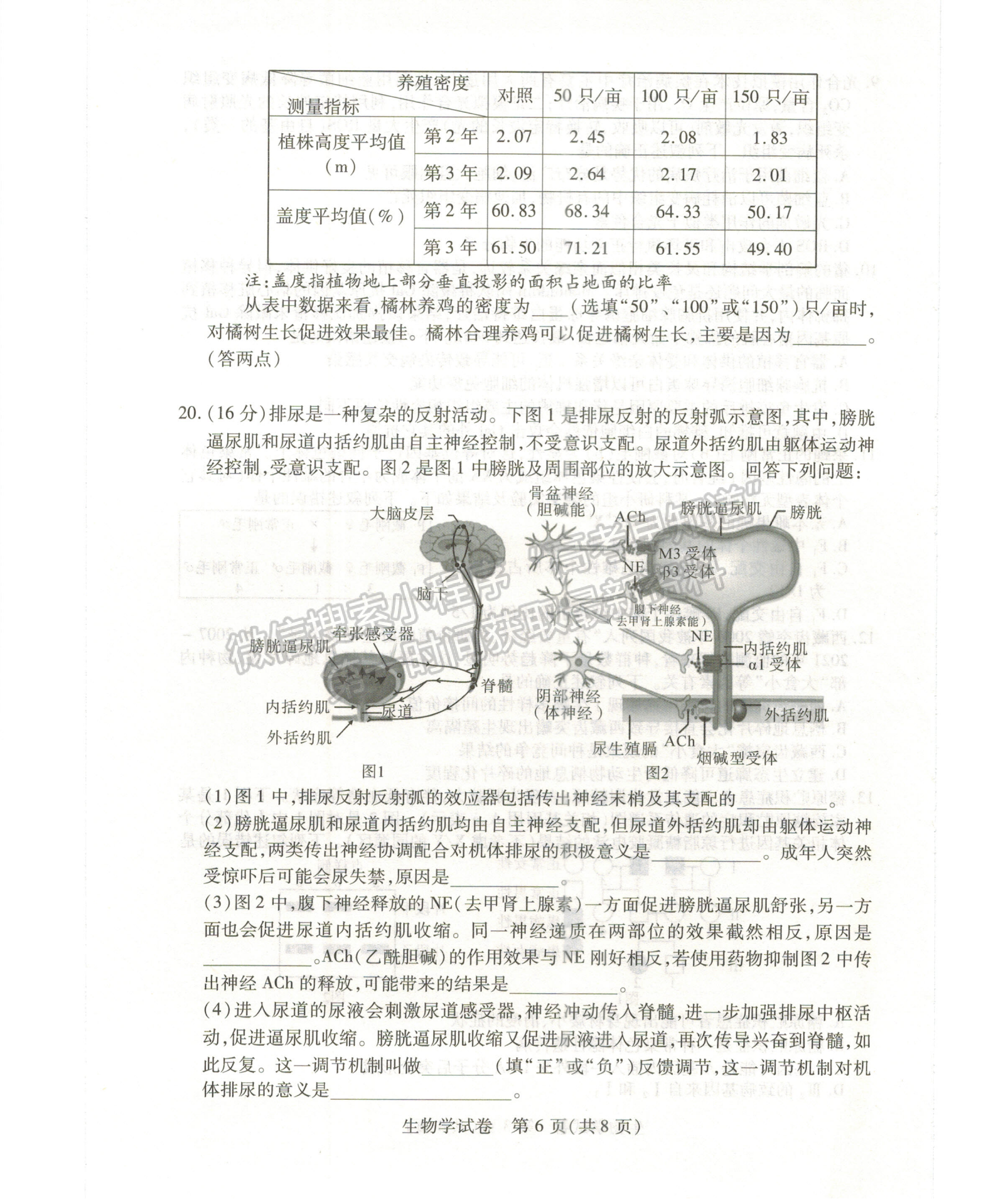 2024屆湖北省七市州高三3月聯(lián)合統(tǒng)一調(diào)研生物試題及答案