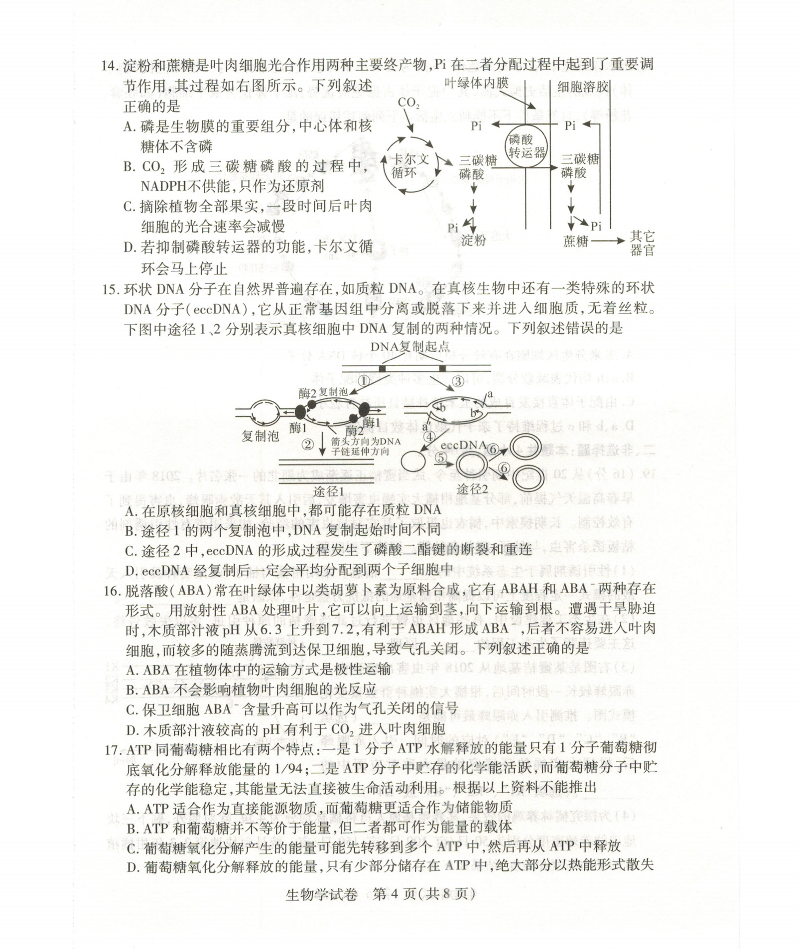 2024ʡݸ3ͳһ⼰