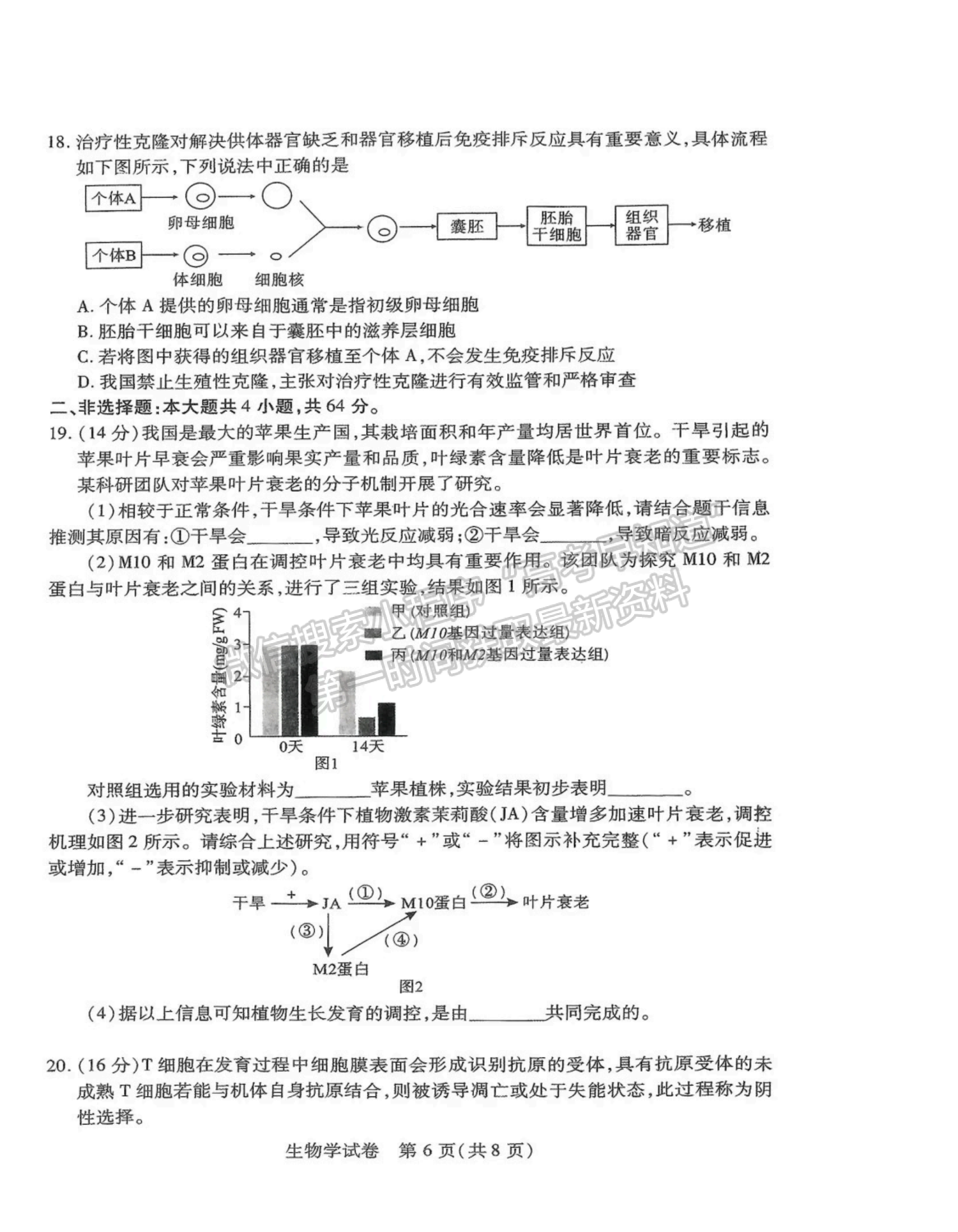 2024届湖北省八市高三3月联考生物试题及答案