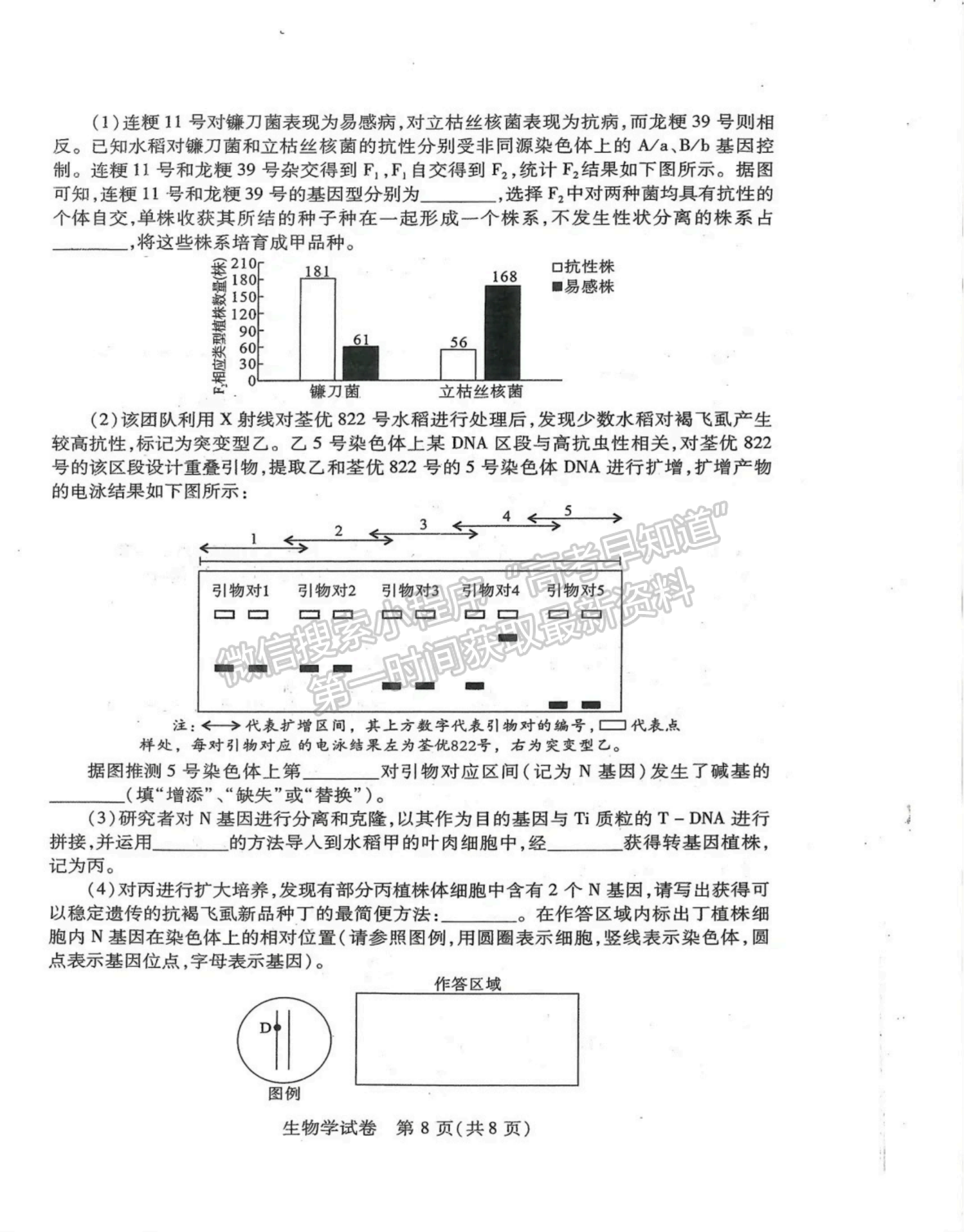 2024屆湖北省八市高三3月聯(lián)考生物試題及答案