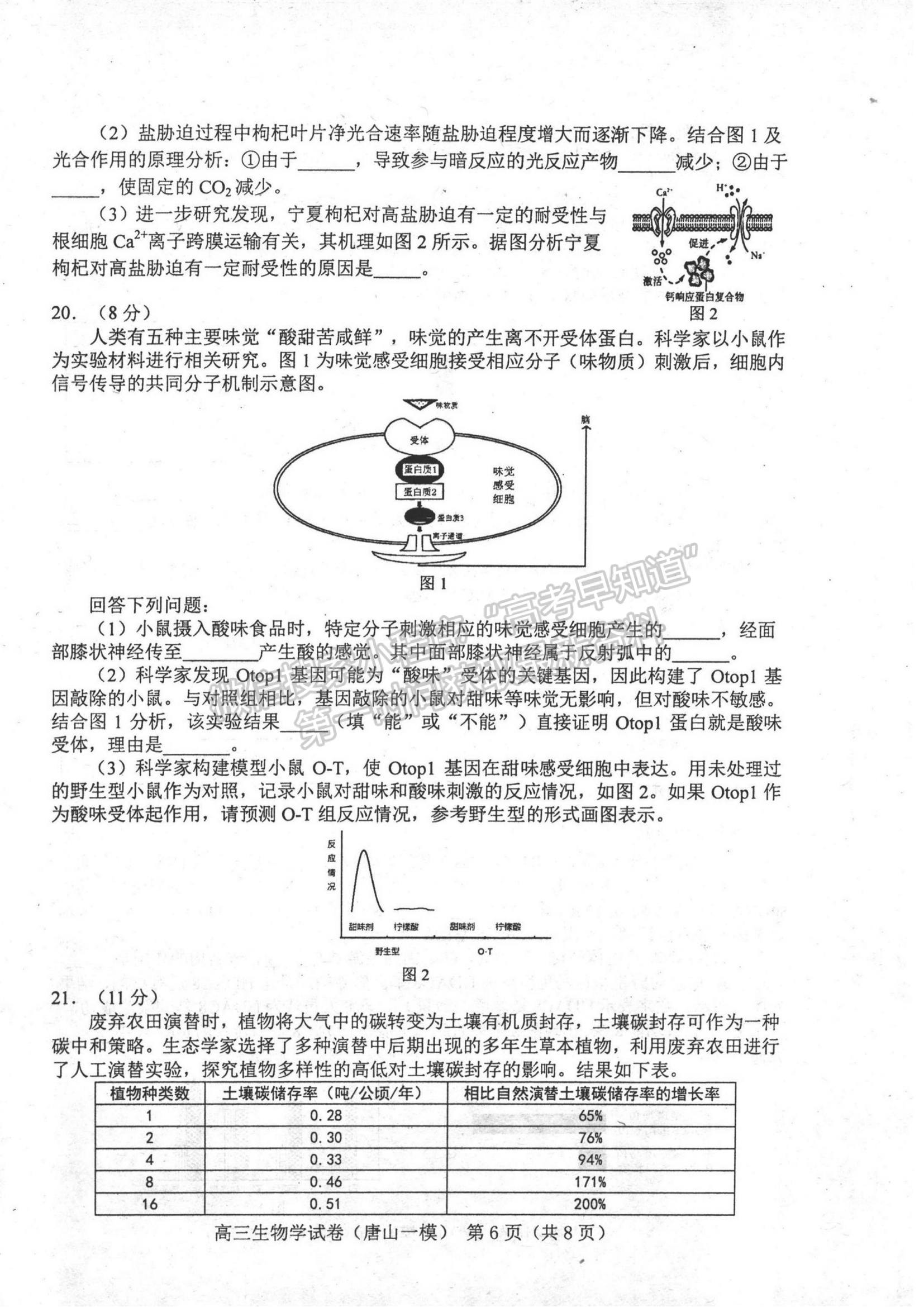 2024屆河北省唐山市高三下學期第一次模擬演練生物試卷及答案