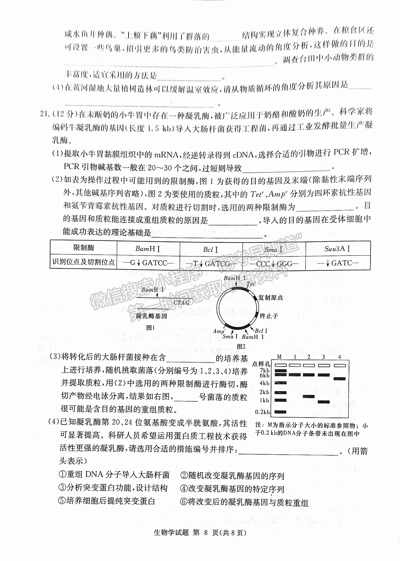 2024屆湖南省九校聯(lián)盟高三第二次聯(lián)考生物試題及答案