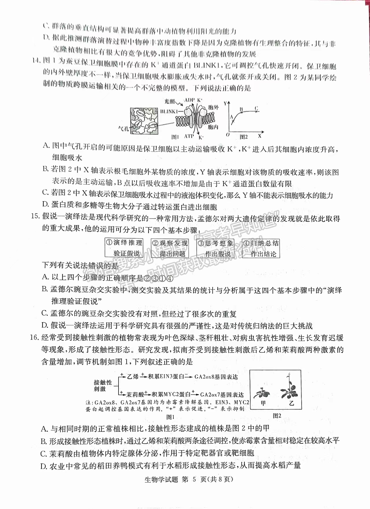 2024屆湖南省九校聯(lián)盟高三第二次聯(lián)考生物試題及答案