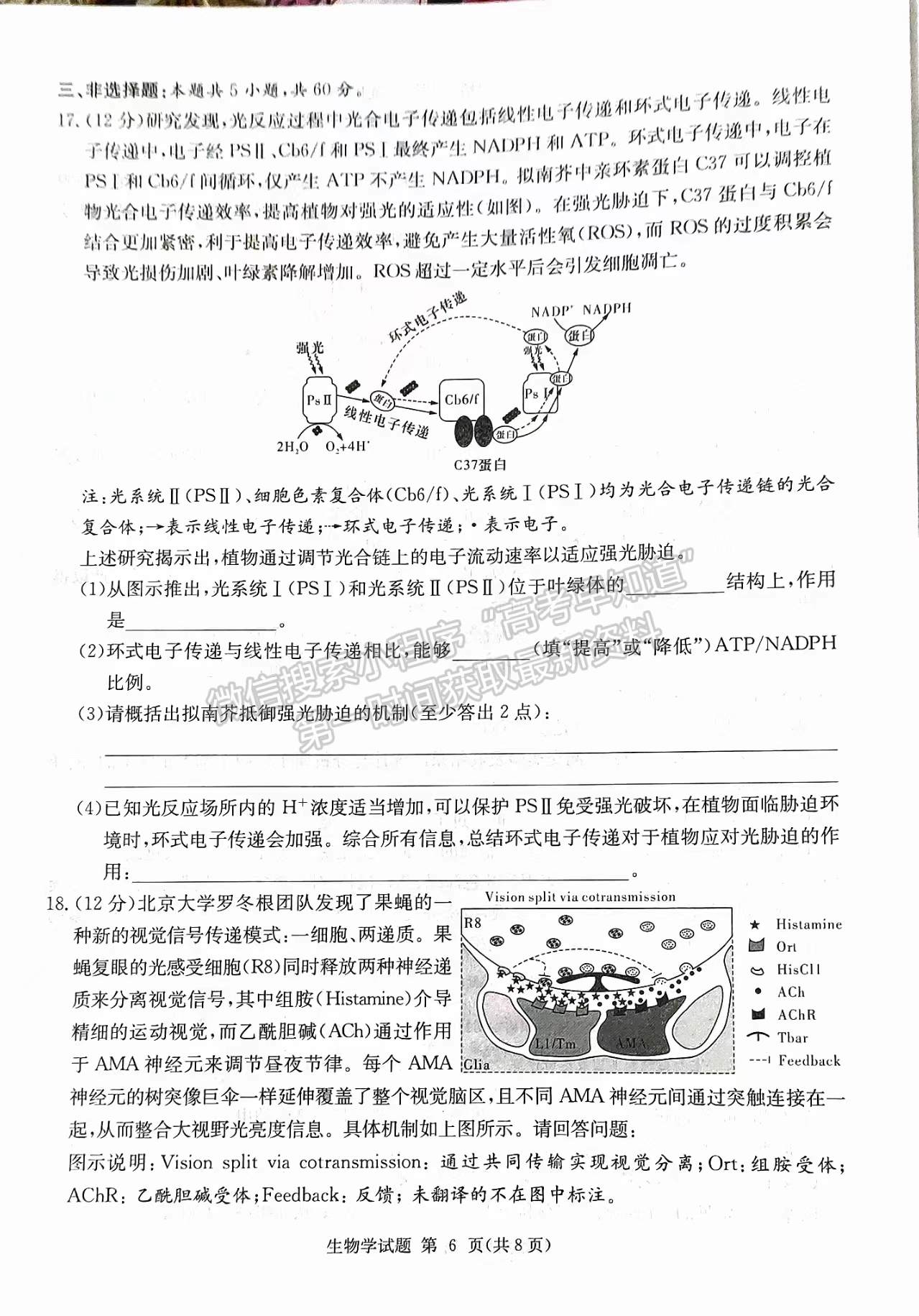 2024屆湖南省九校聯(lián)盟高三第二次聯(lián)考生物試題及答案