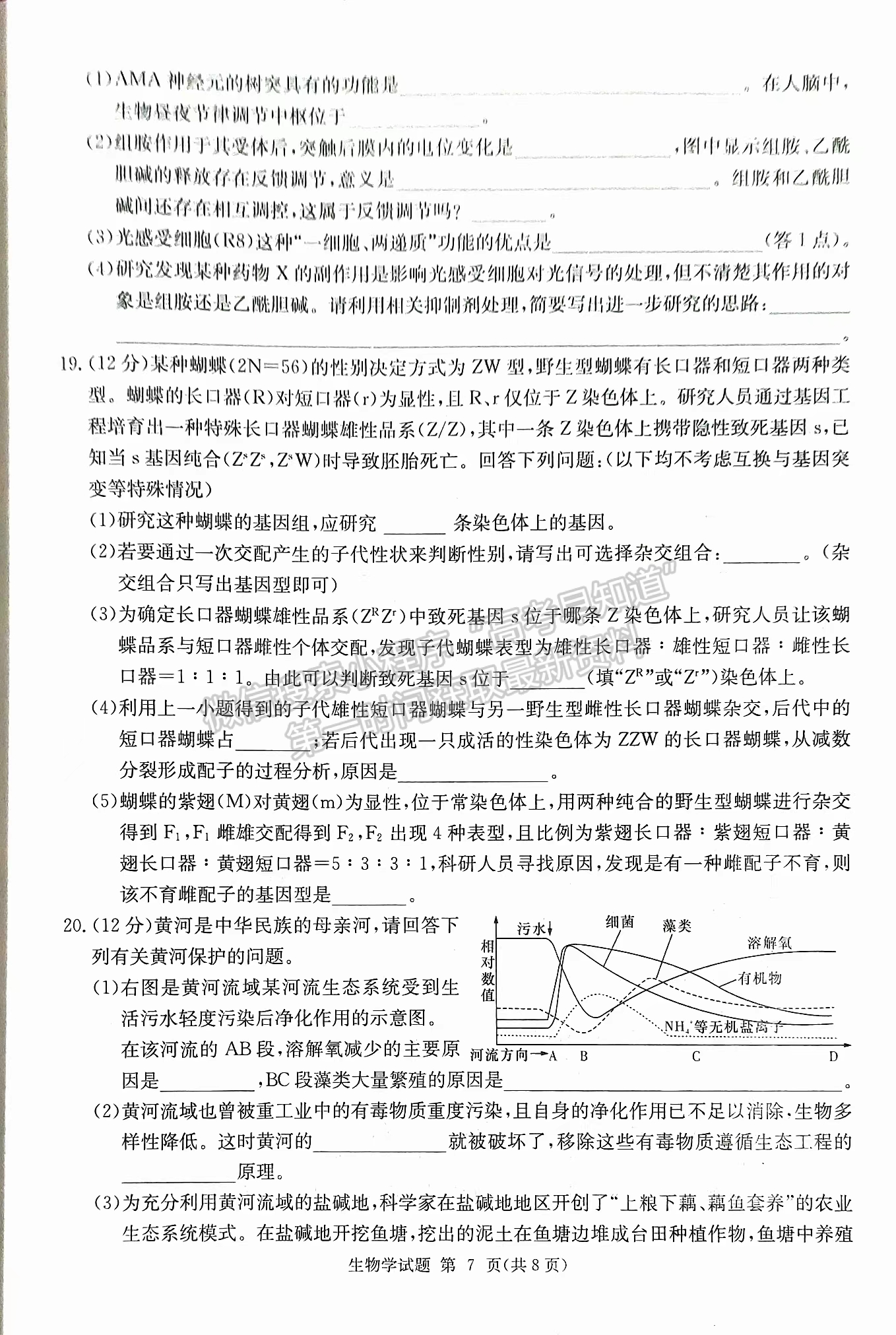 2024屆湖南省九校聯(lián)盟高三第二次聯(lián)考生物試題及答案