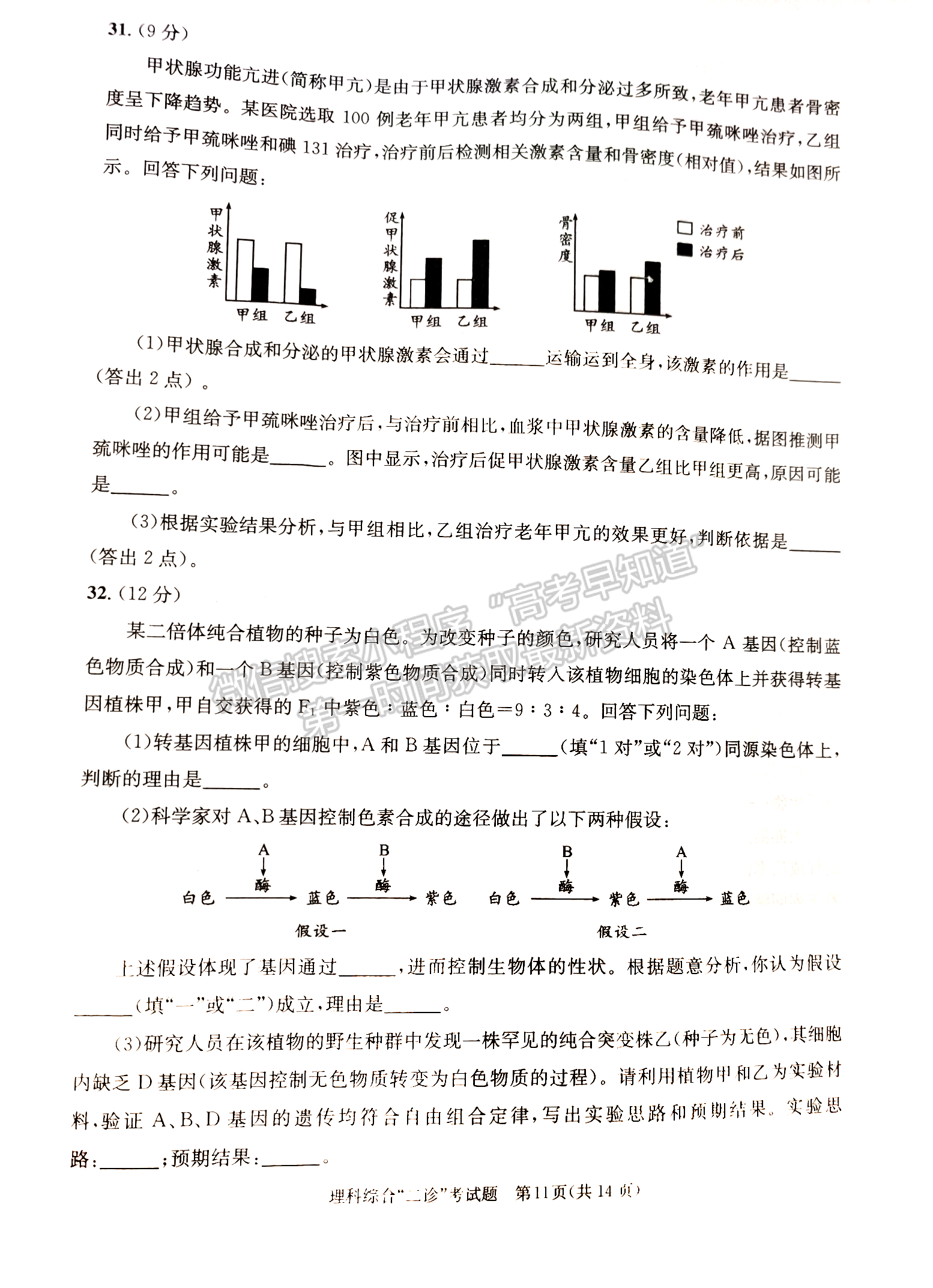 2024四川省成都市2021級高中畢業(yè)班第二次診斷考試理綜試卷及參考答案