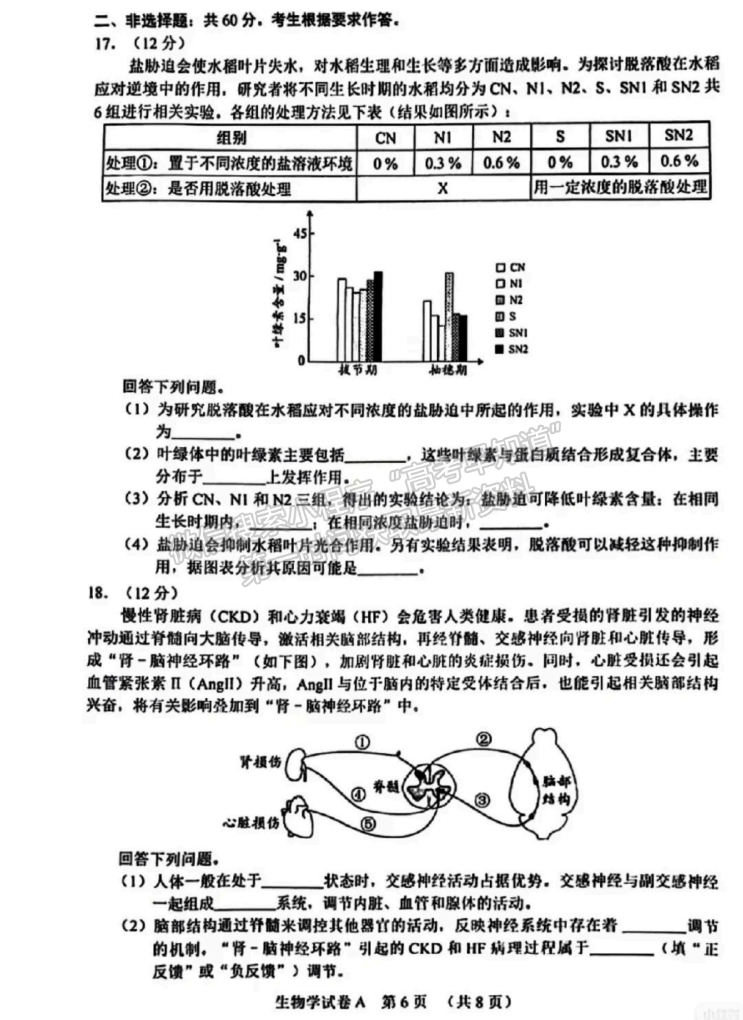 2024屆廣東省廣州市高三一模生物試題及答案