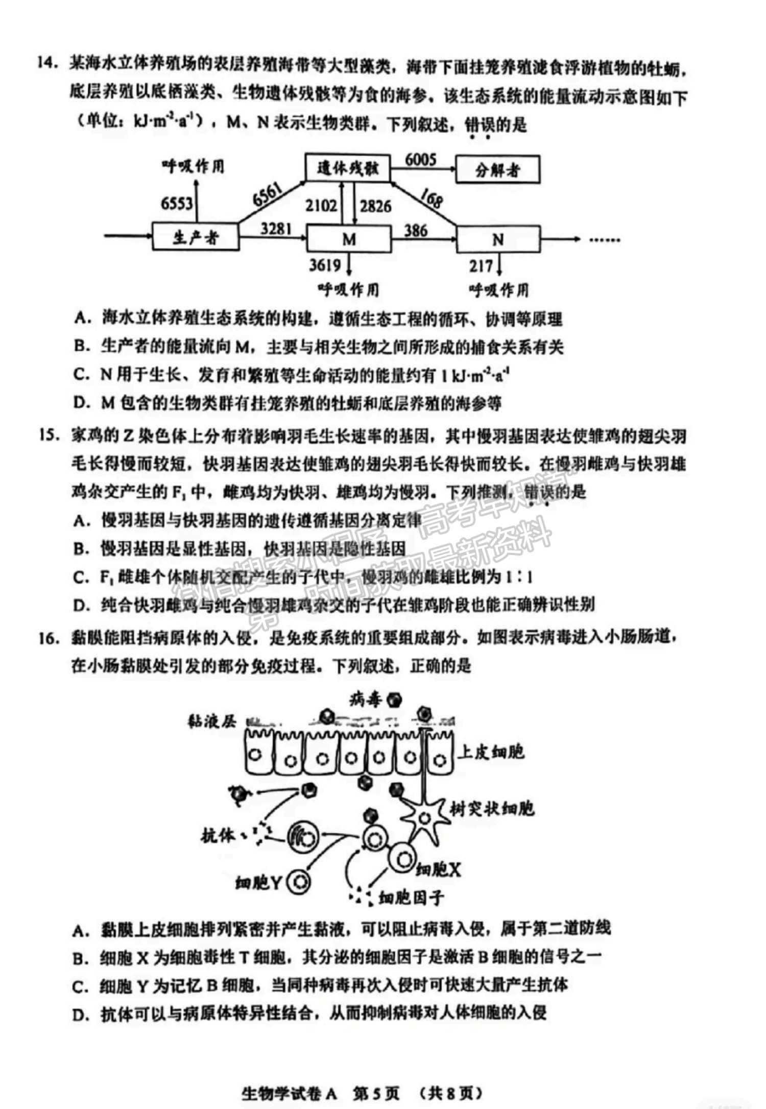 2024屆廣東省廣州市高三一模生物試題及答案