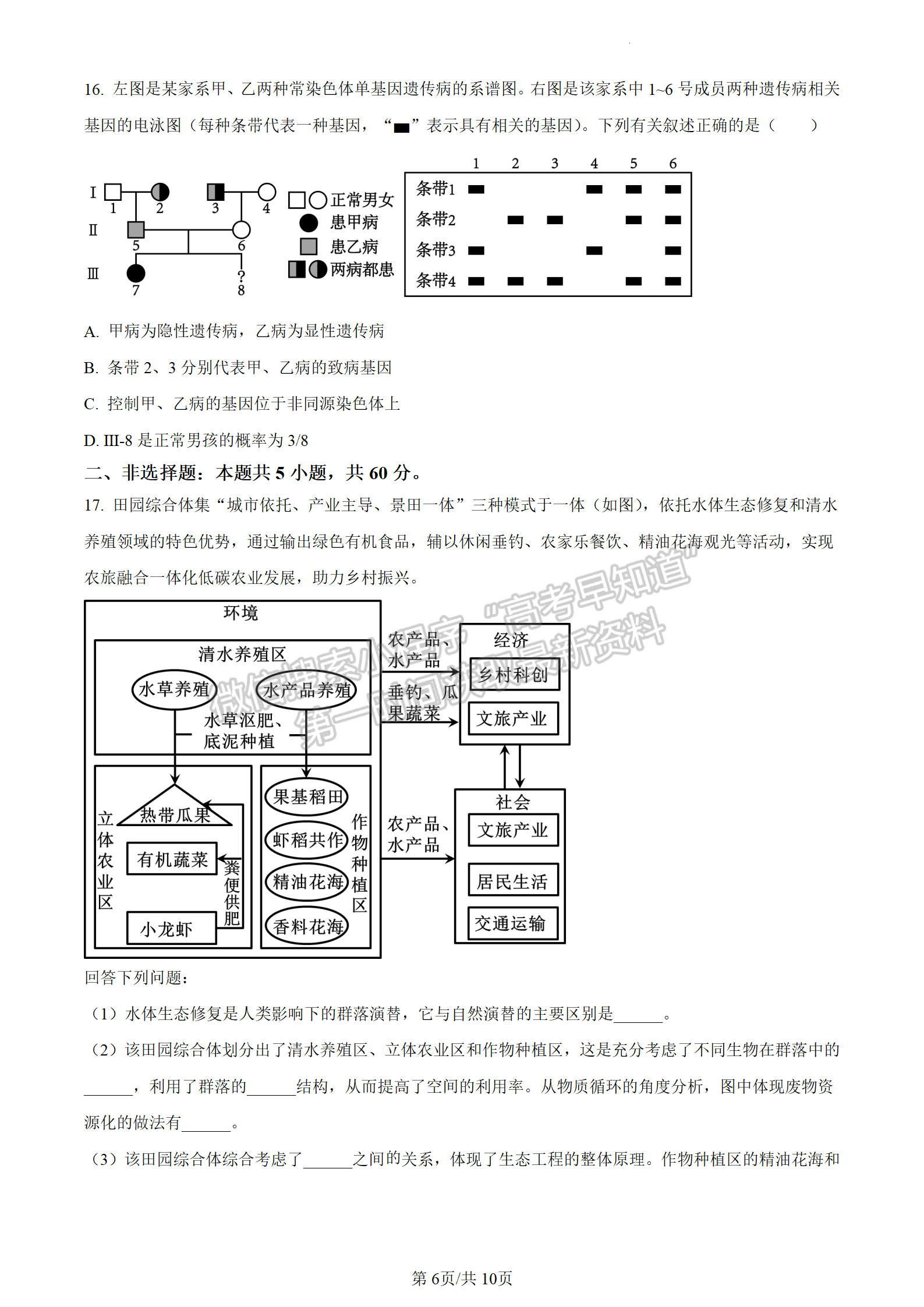 2024屆廣東省高三下學(xué)期3月一模生物試題及答案