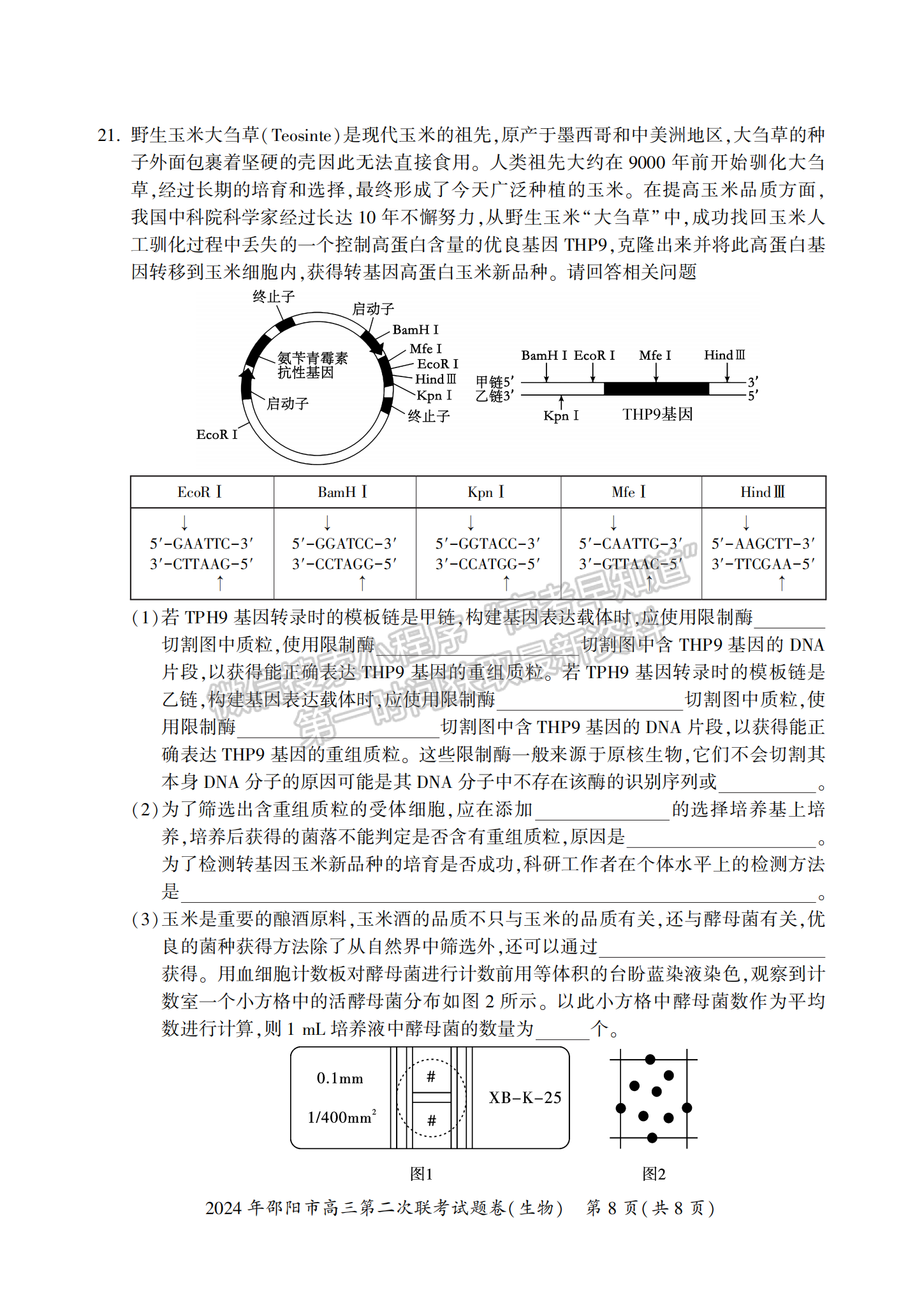 2024届湖南省邵阳市高三第二次联考生物试题及答案