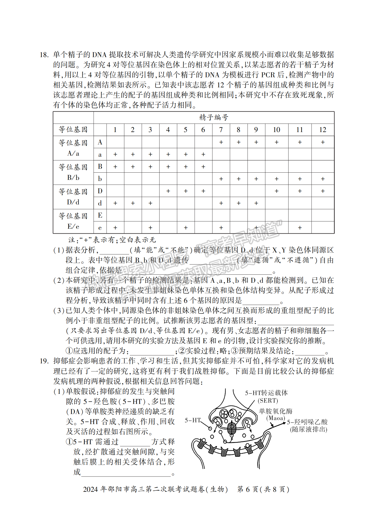 2024届湖南省邵阳市高三第二次联考生物试题及答案