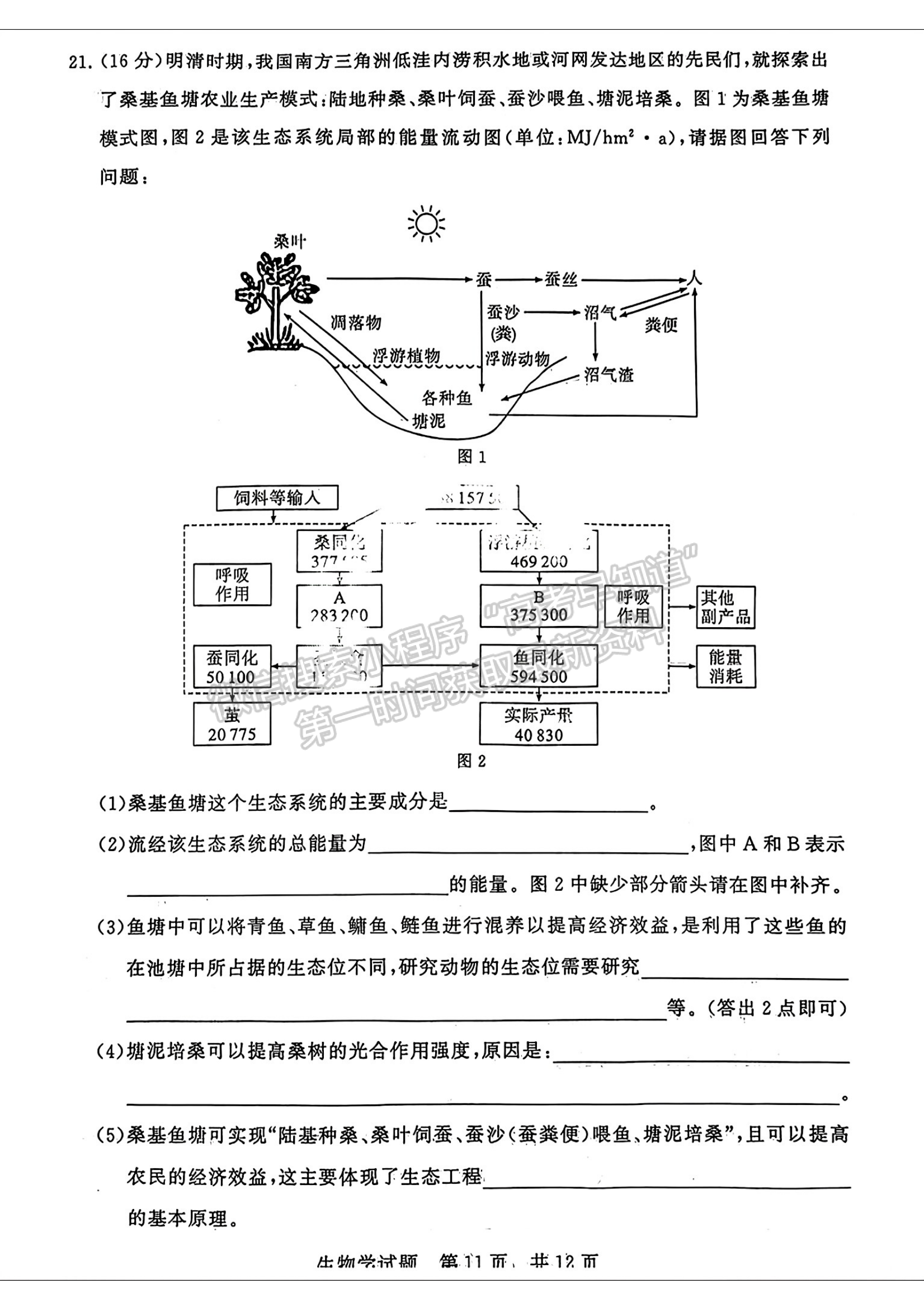 2024屆八省八校T8聯(lián)考高三第二次學業(yè)質(zhì)量評價生物試卷及答案