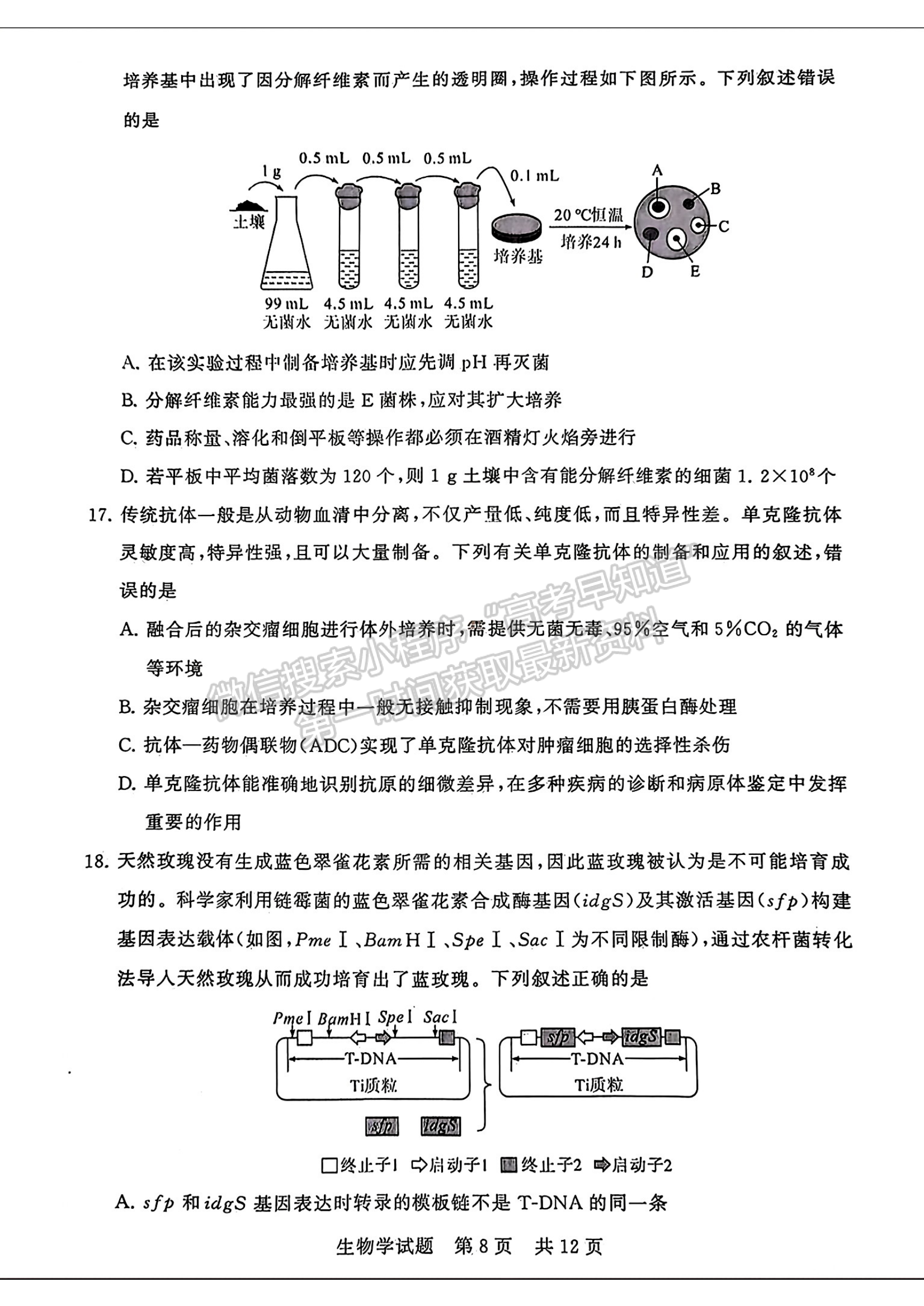 2024屆八省八校T8聯(lián)考高三第二次學(xué)業(yè)質(zhì)量評(píng)價(jià)生物試卷及答案