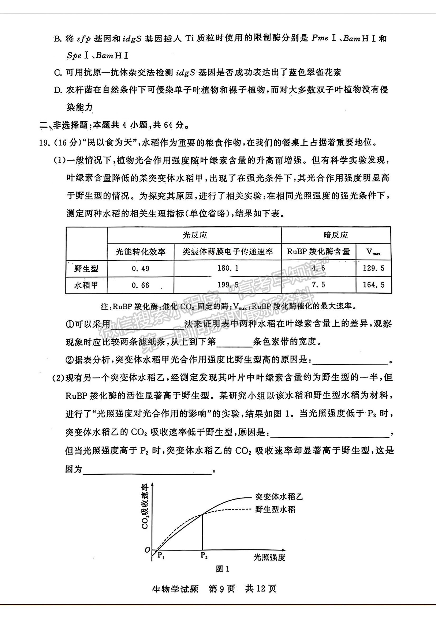 2024屆八省八校T8聯(lián)考高三第二次學(xué)業(yè)質(zhì)量評(píng)價(jià)生物試卷及答案