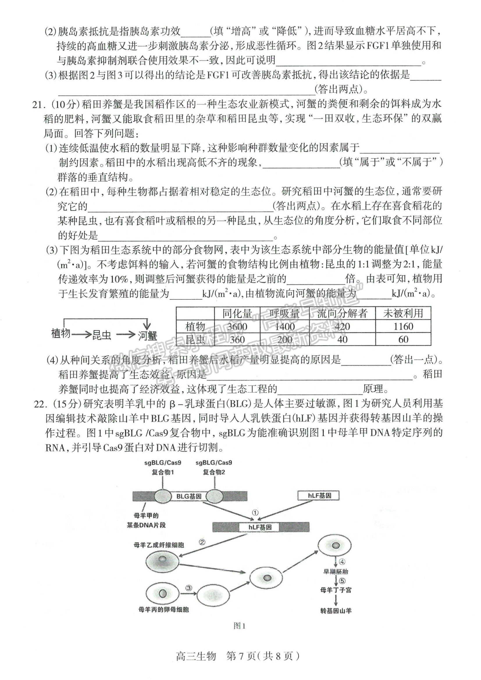 2024屆河北省石家莊市普通高中畢業(yè)年級教學(xué)質(zhì)量檢測（二）生物試卷及答案