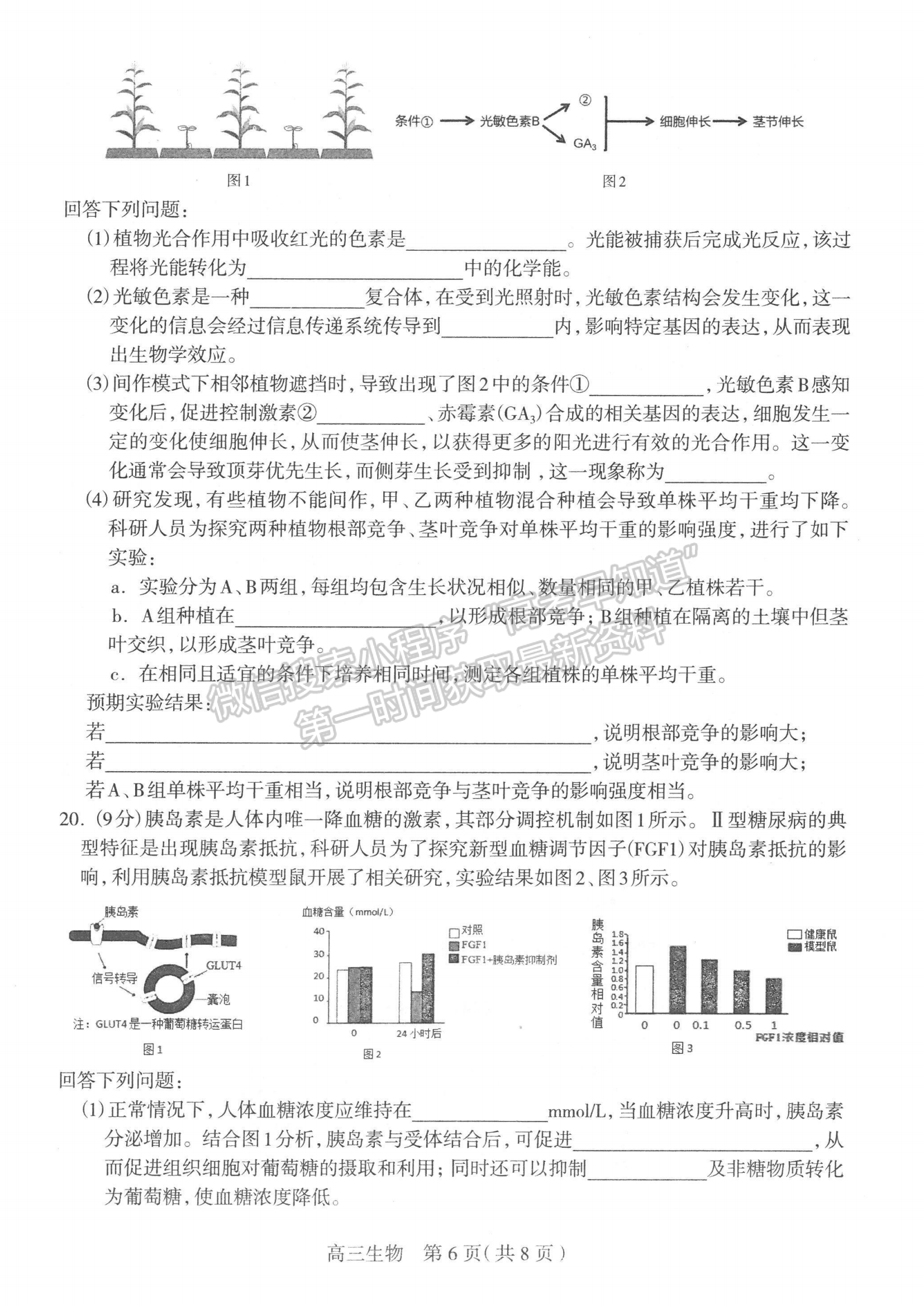 2024屆河北省石家莊市普通高中畢業(yè)年級教學(xué)質(zhì)量檢測（二）生物試卷及答案