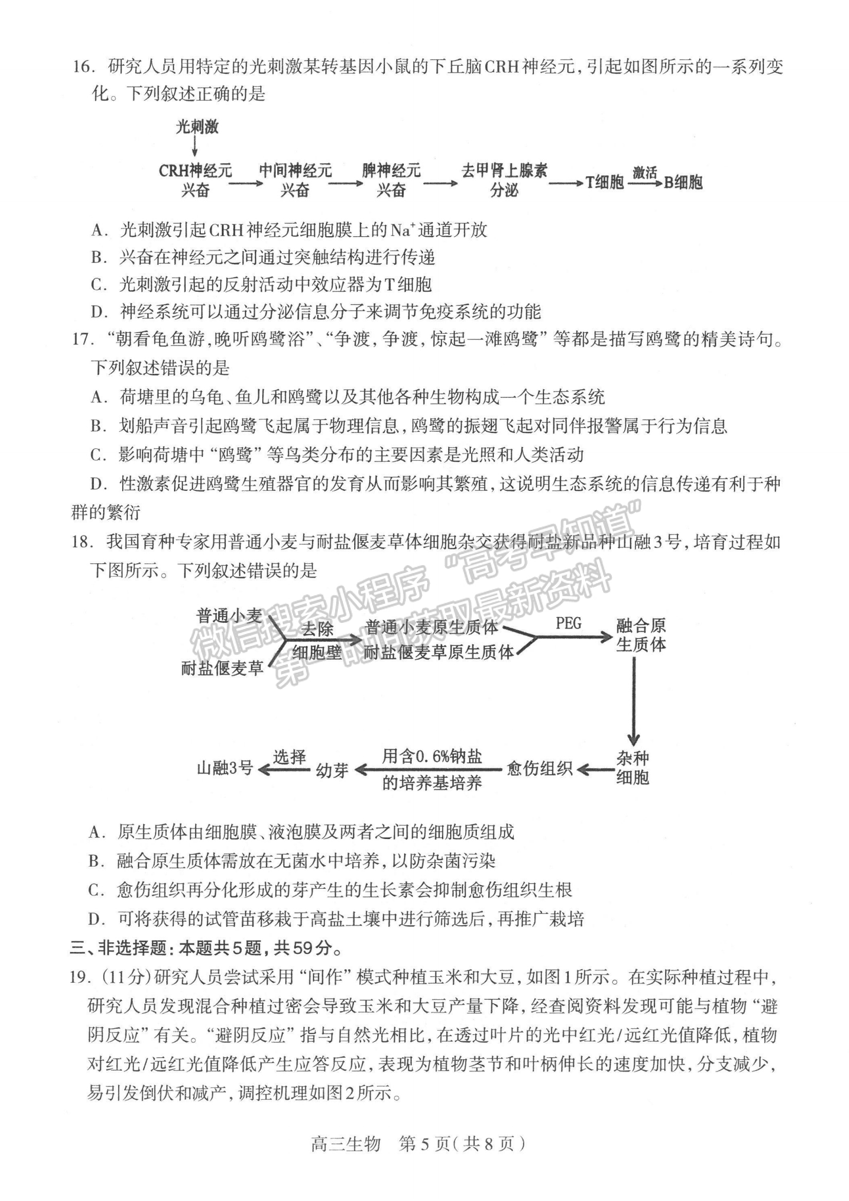 2024屆河北省石家莊市普通高中畢業(yè)年級教學(xué)質(zhì)量檢測（二）生物試卷及答案