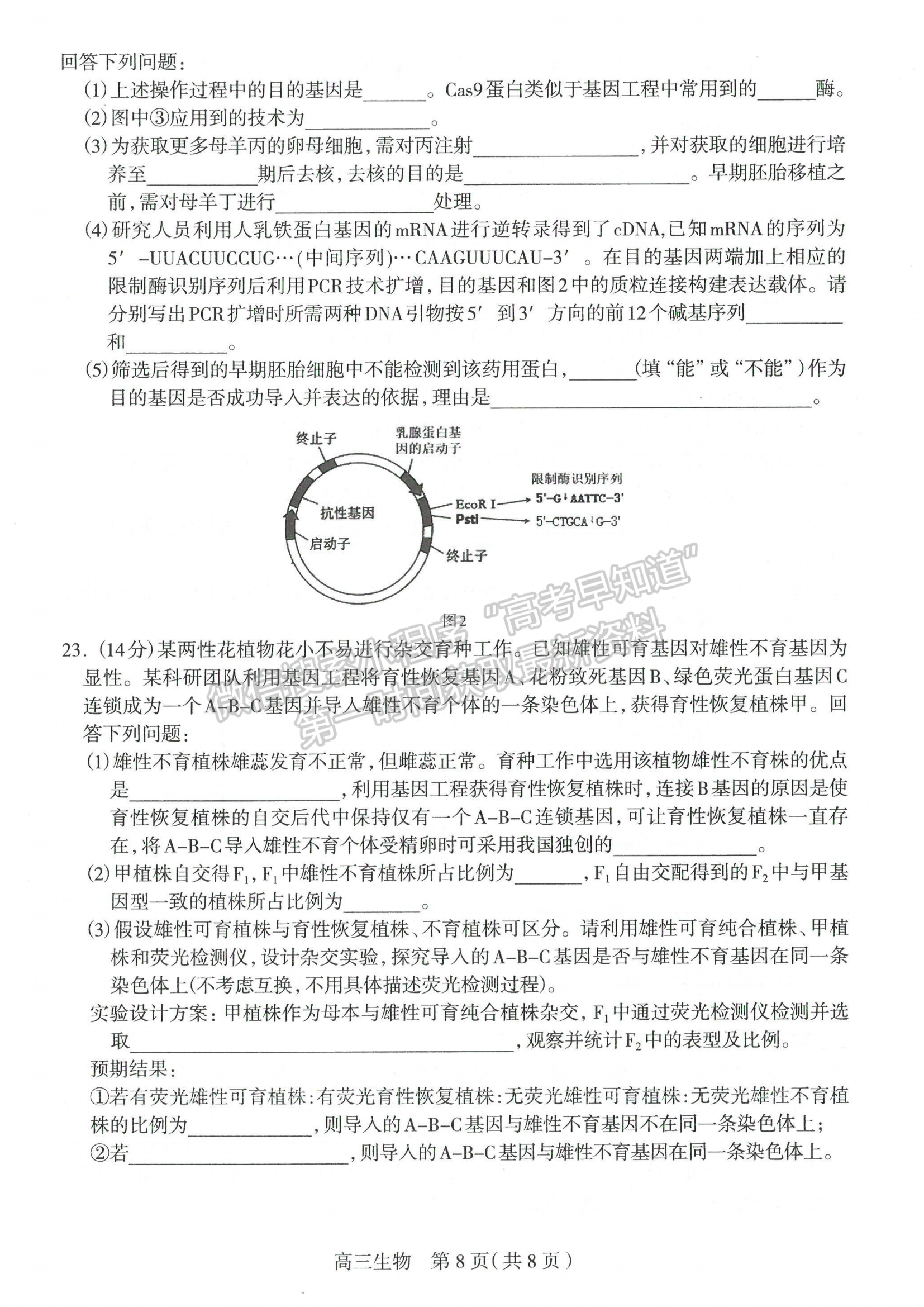 2024屆河北省石家莊市普通高中畢業(yè)年級教學(xué)質(zhì)量檢測（二）生物試卷及答案