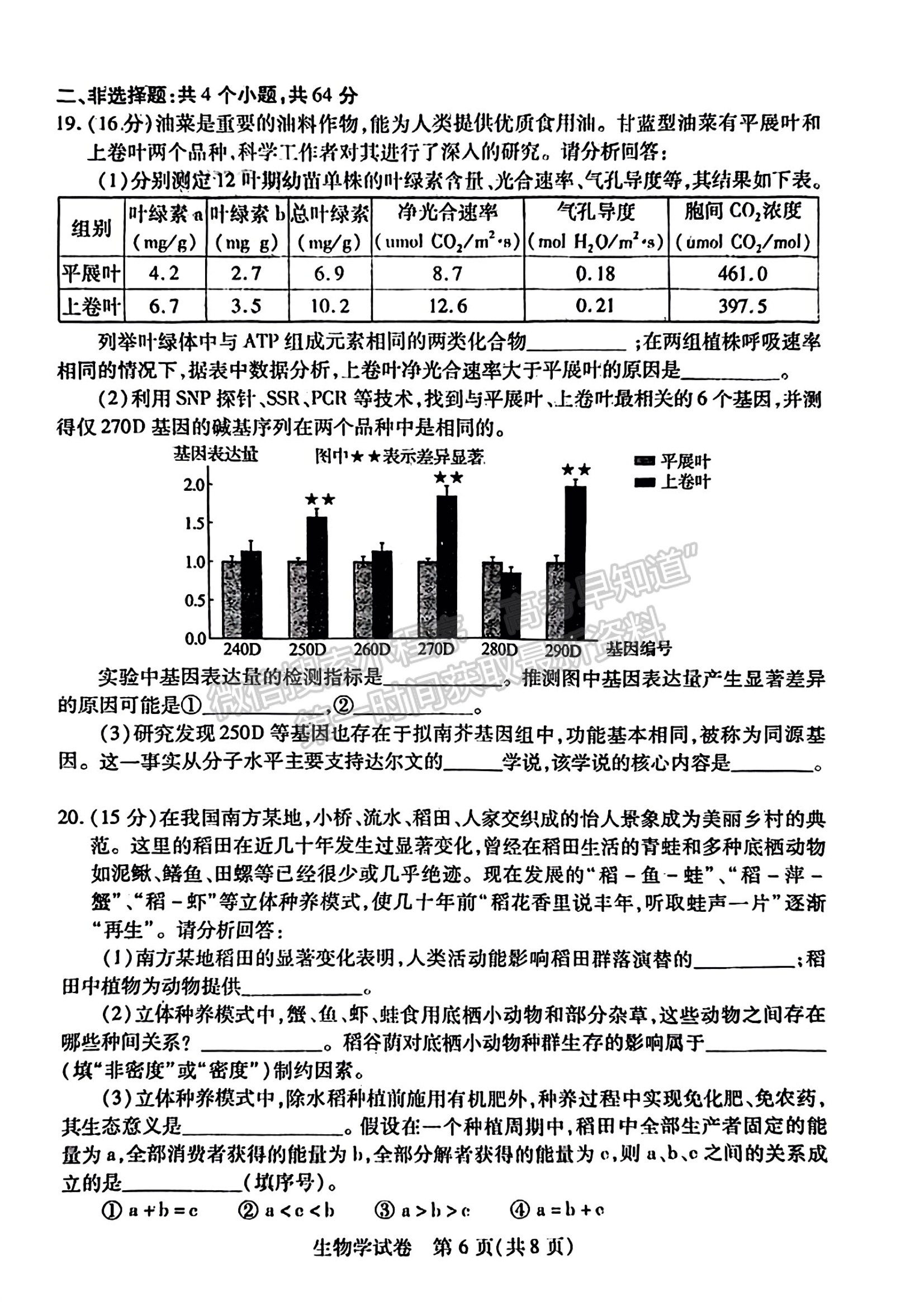 2024届湖北省高三4月调研生物试题及答案