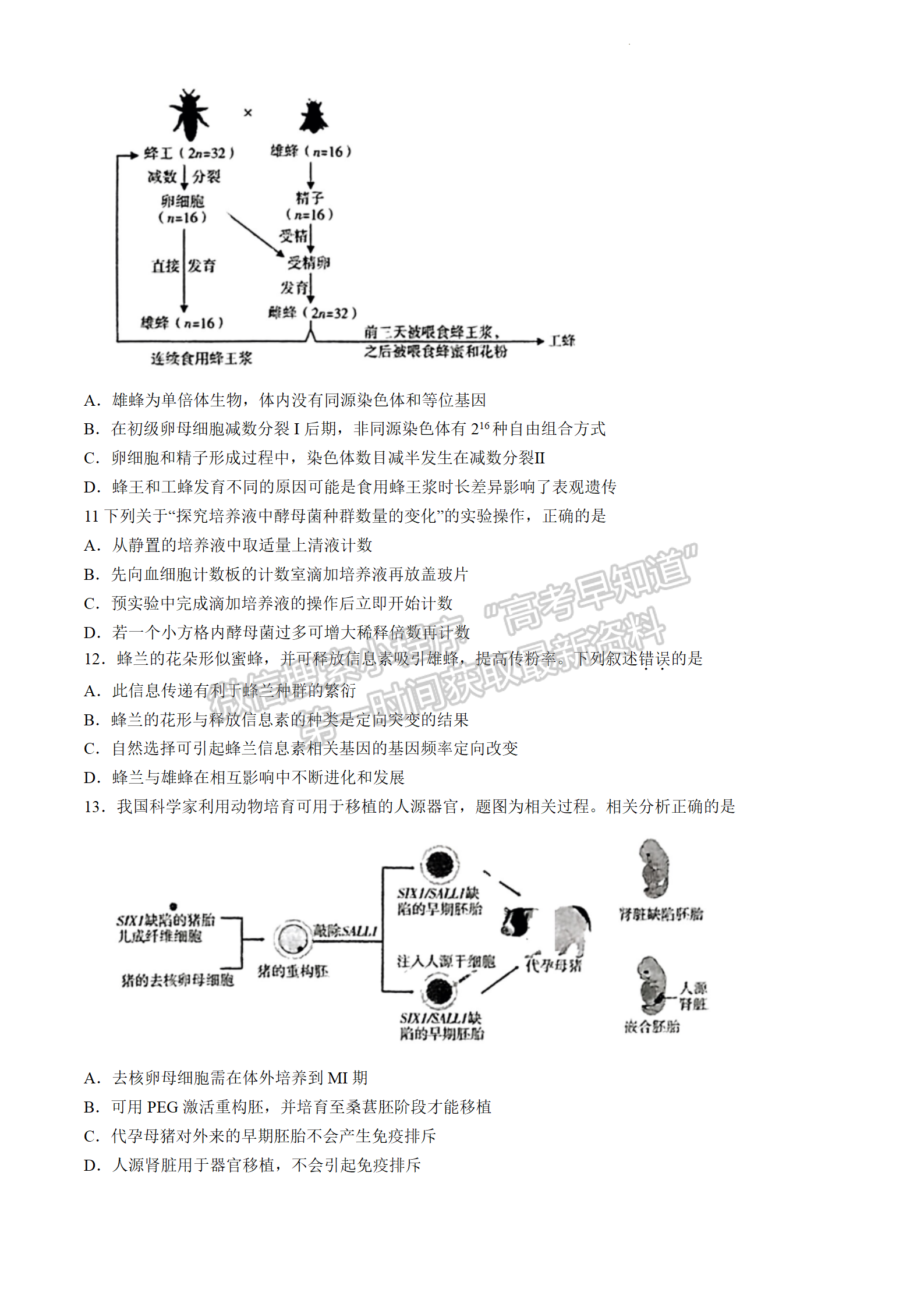 2024屆廣東省高三下學(xué)期4月二模生物試題及答案