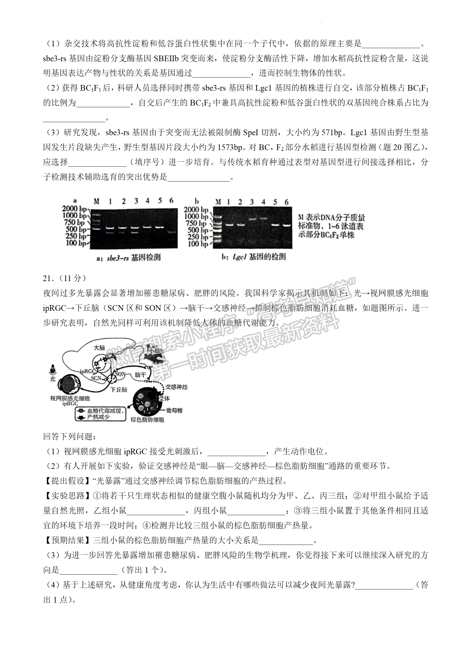 2024届广东省高三下学期4月二模生物试题及答案