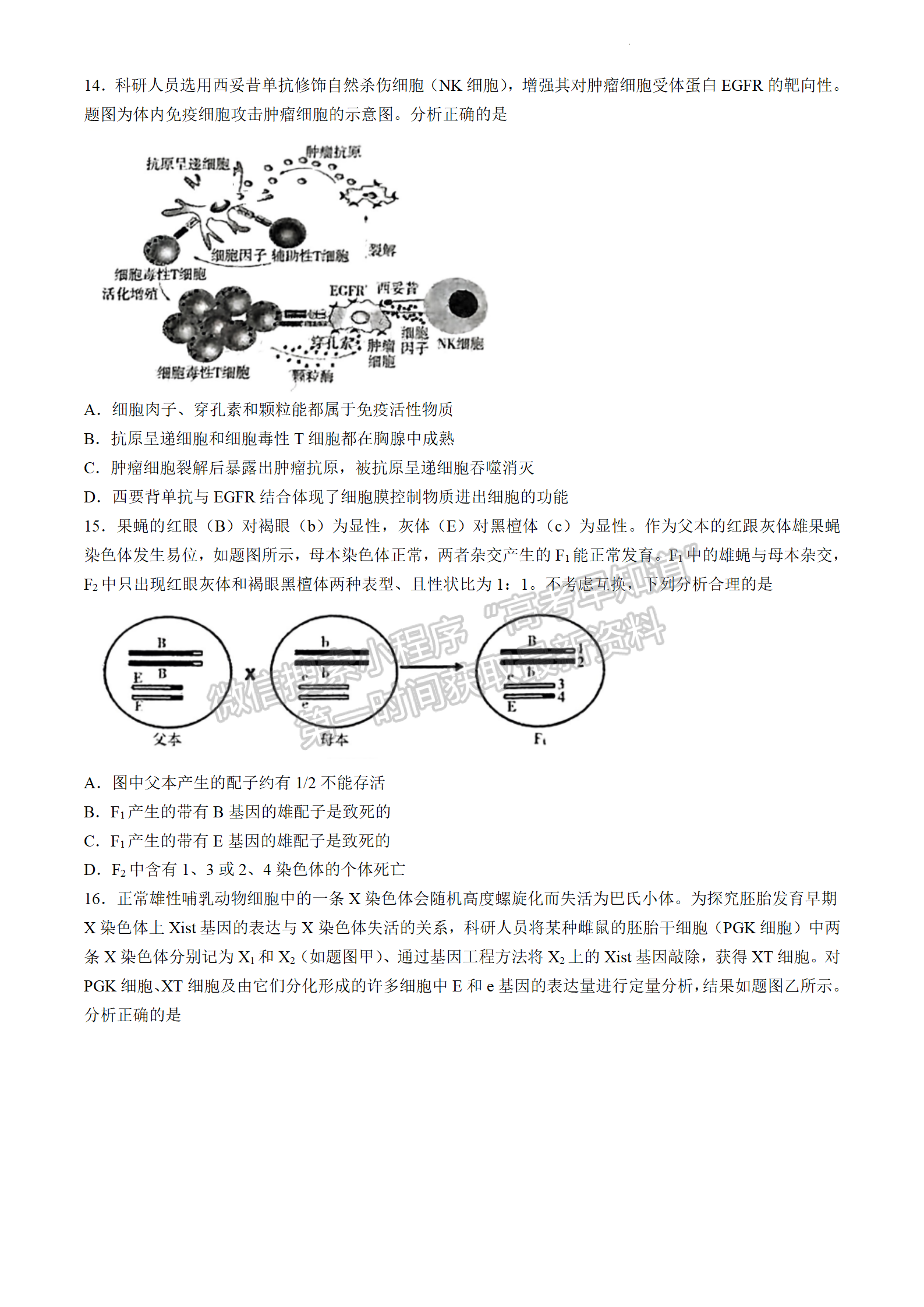 2024屆廣東省高三下學(xué)期4月二模生物試題及答案