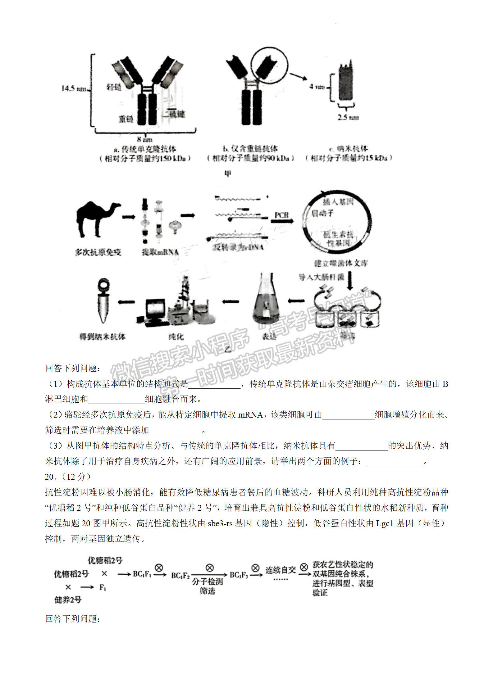 2024届广东省高三下学期4月二模生物试题及答案