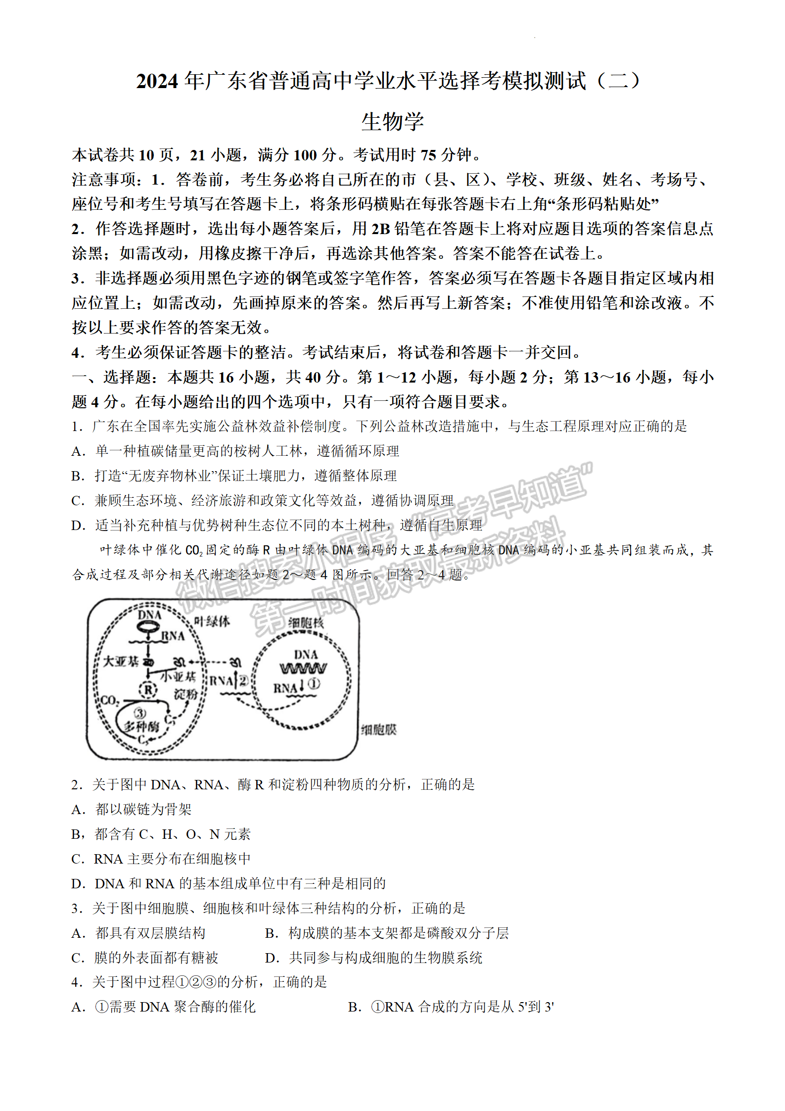 2024屆廣東省高三下學(xué)期4月二模生物試題及答案