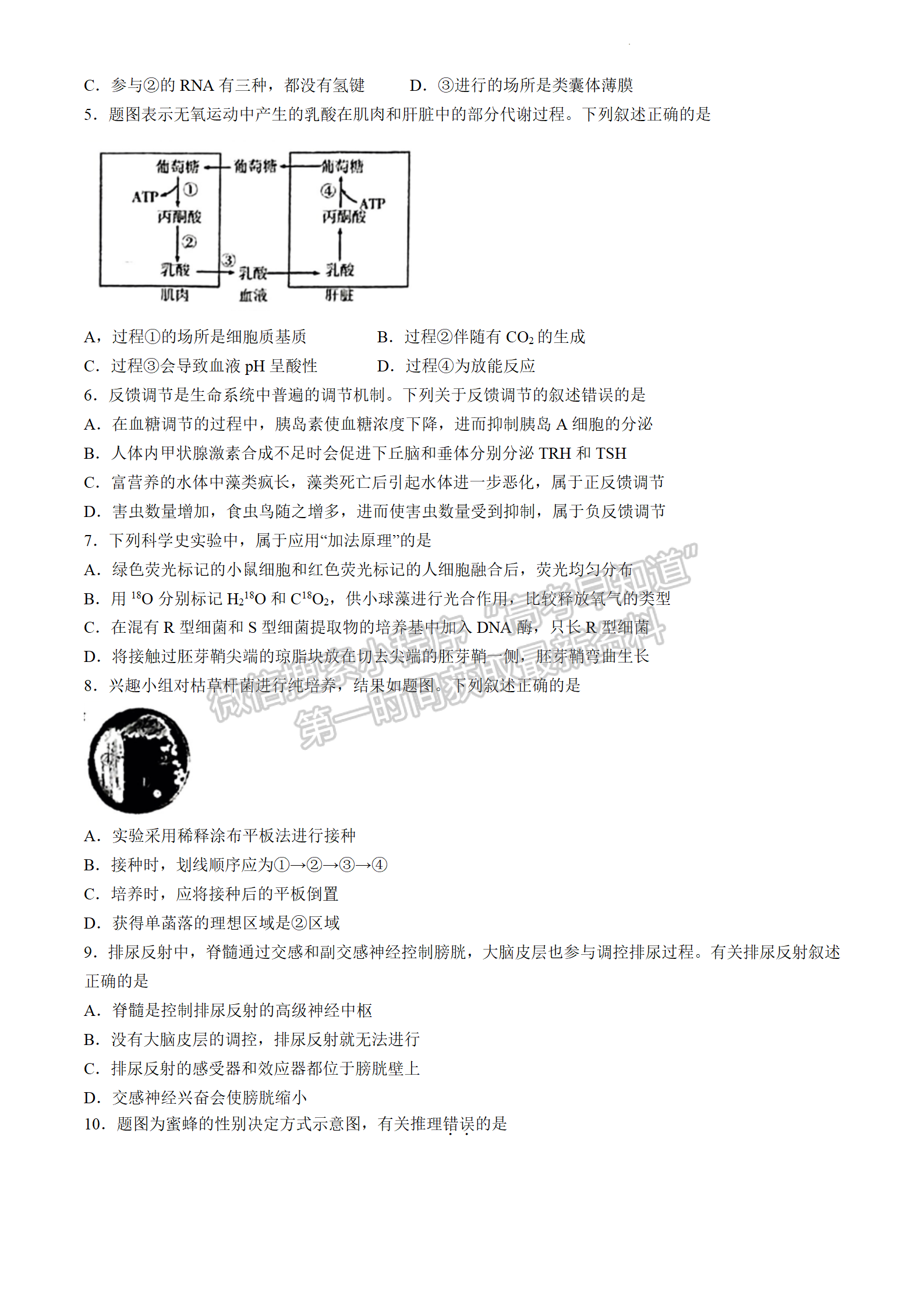 2024屆廣東省高三下學(xué)期4月二模生物試題及答案