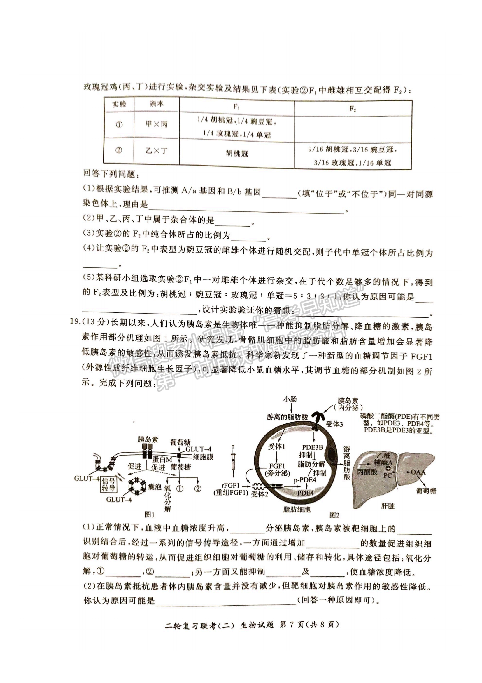 2024屆湖南高三二輪復(fù)習(xí)聯(lián)考（二）生物試題及答案